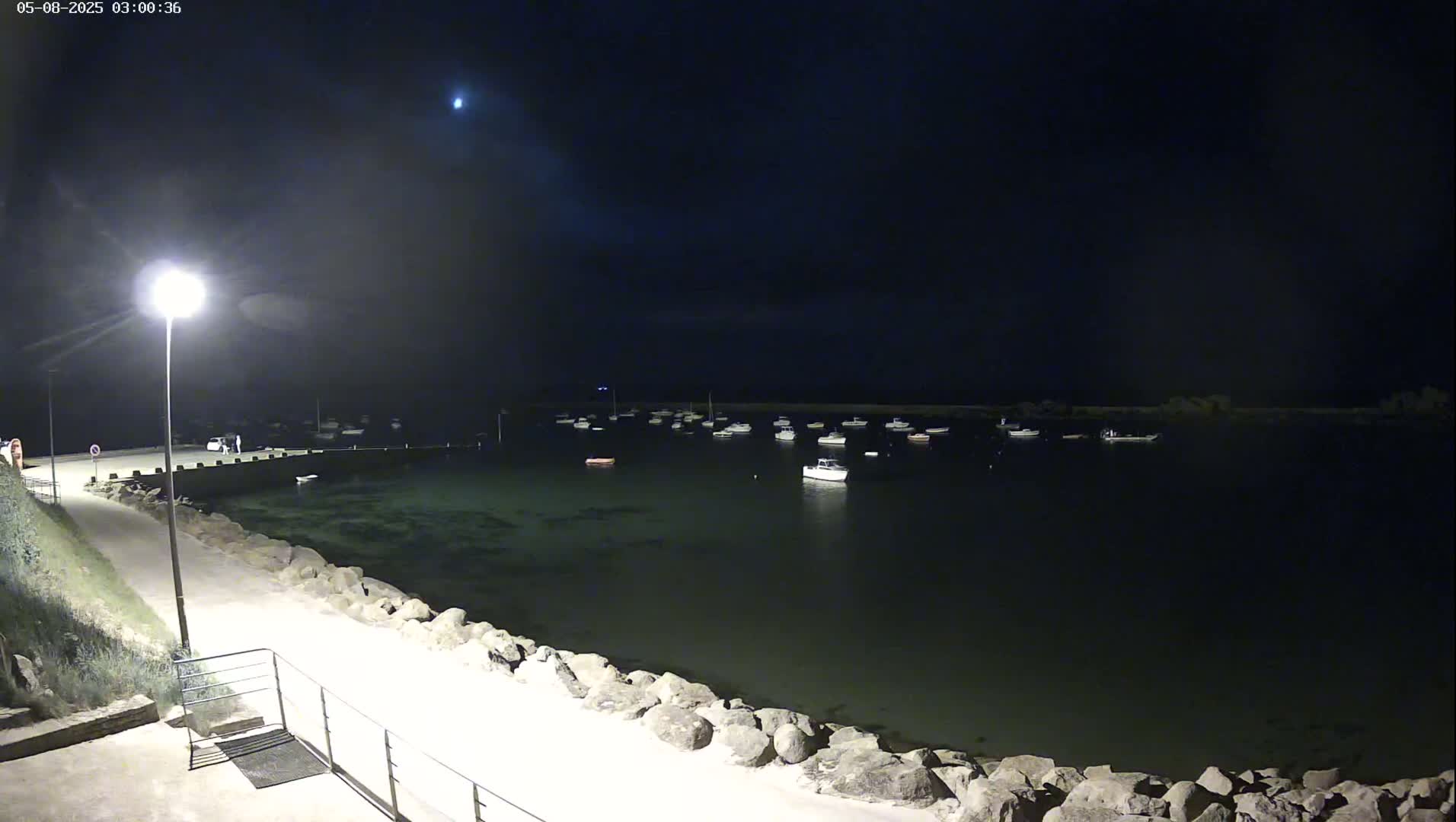 A moonlit night scene shows a calm harbor filled with small boats, a paved walkway, and a rocky shoreline illuminated by a single lamppost.