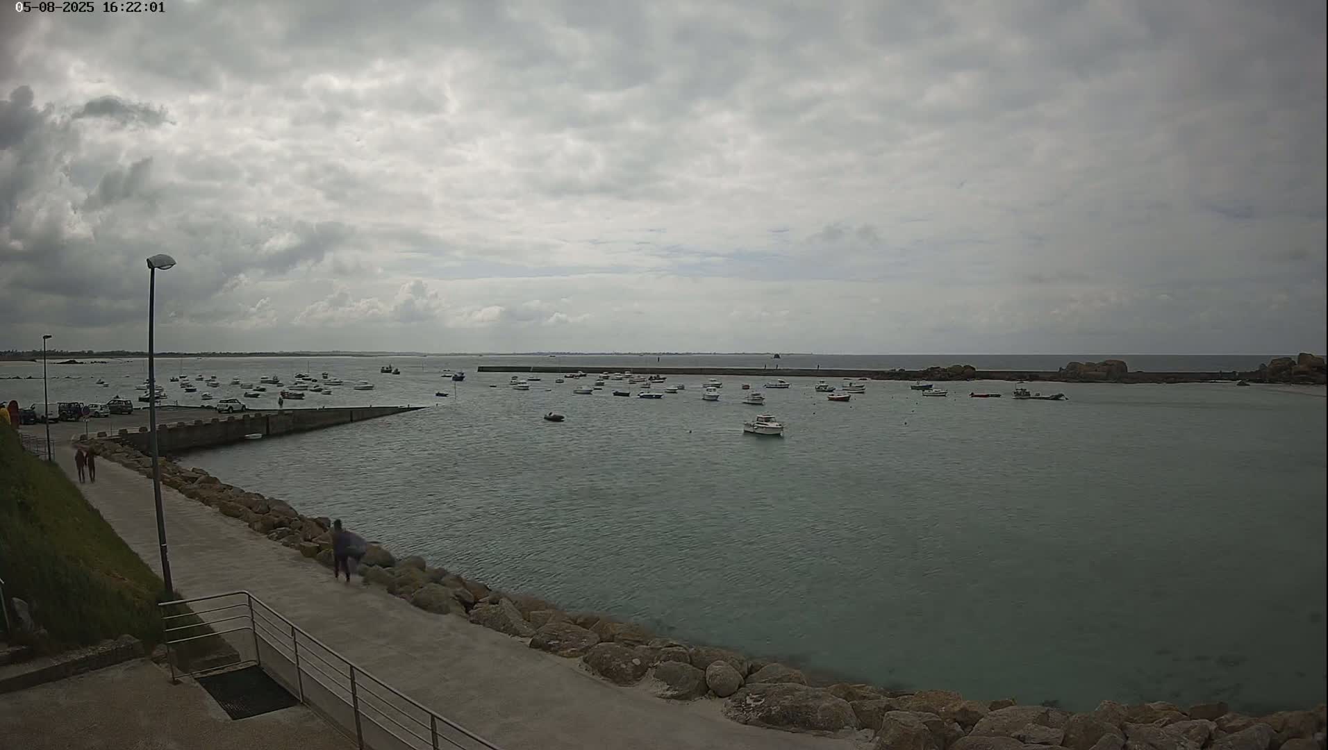 A calm harbor filled with numerous small boats is viewed from a paved walkway on an overcast day.