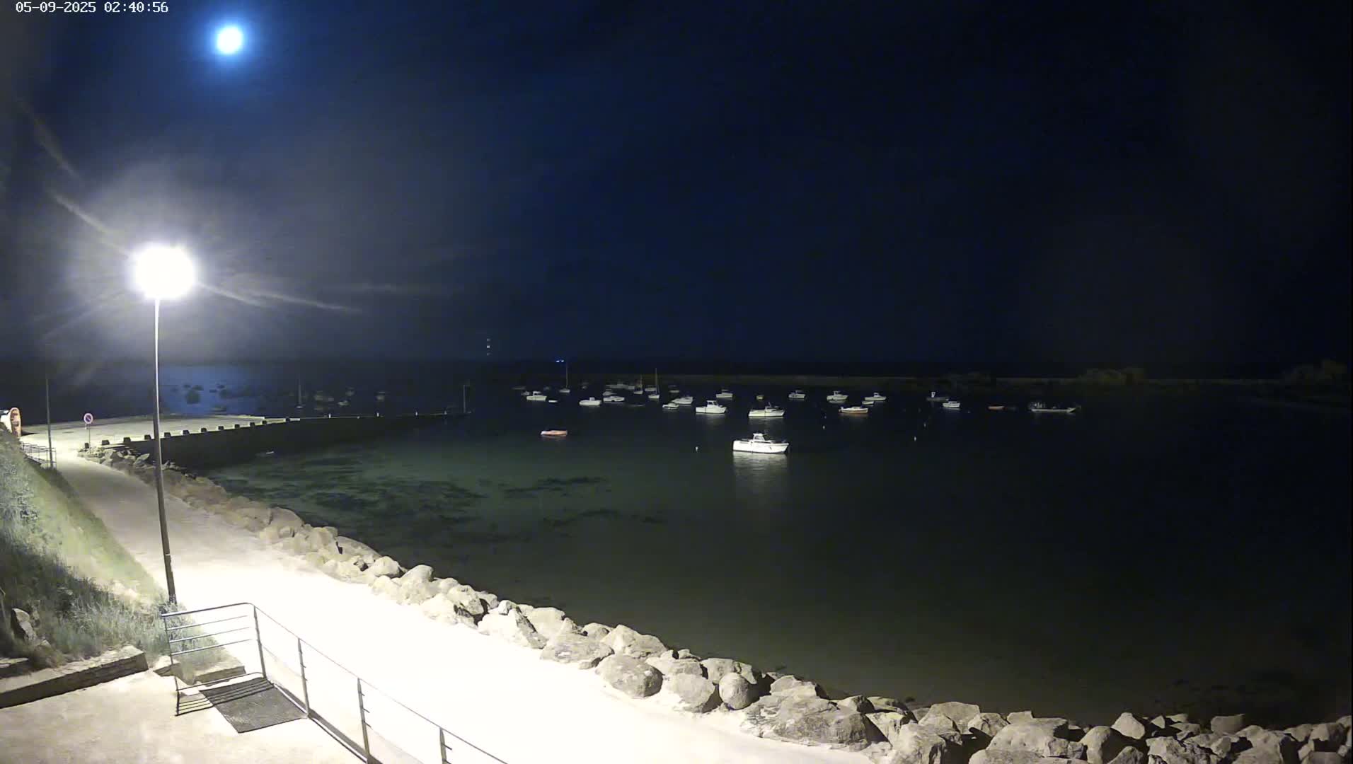 A moonlit night scene shows a calm harbor with numerous small boats moored, viewed from a paved walkway next to a rocky embankment illuminated by a streetlight.