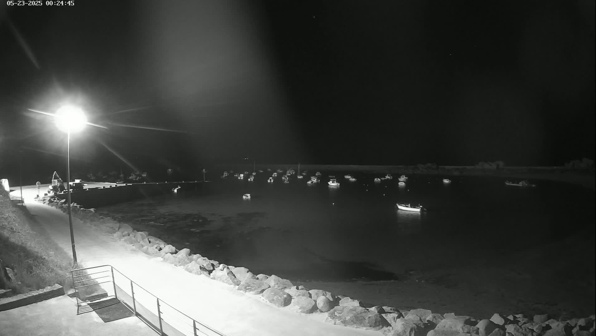 A nighttime, black-and-white view shows a calm harbor filled with numerous small boats moored near a rocky shore illuminated by a single streetlamp.