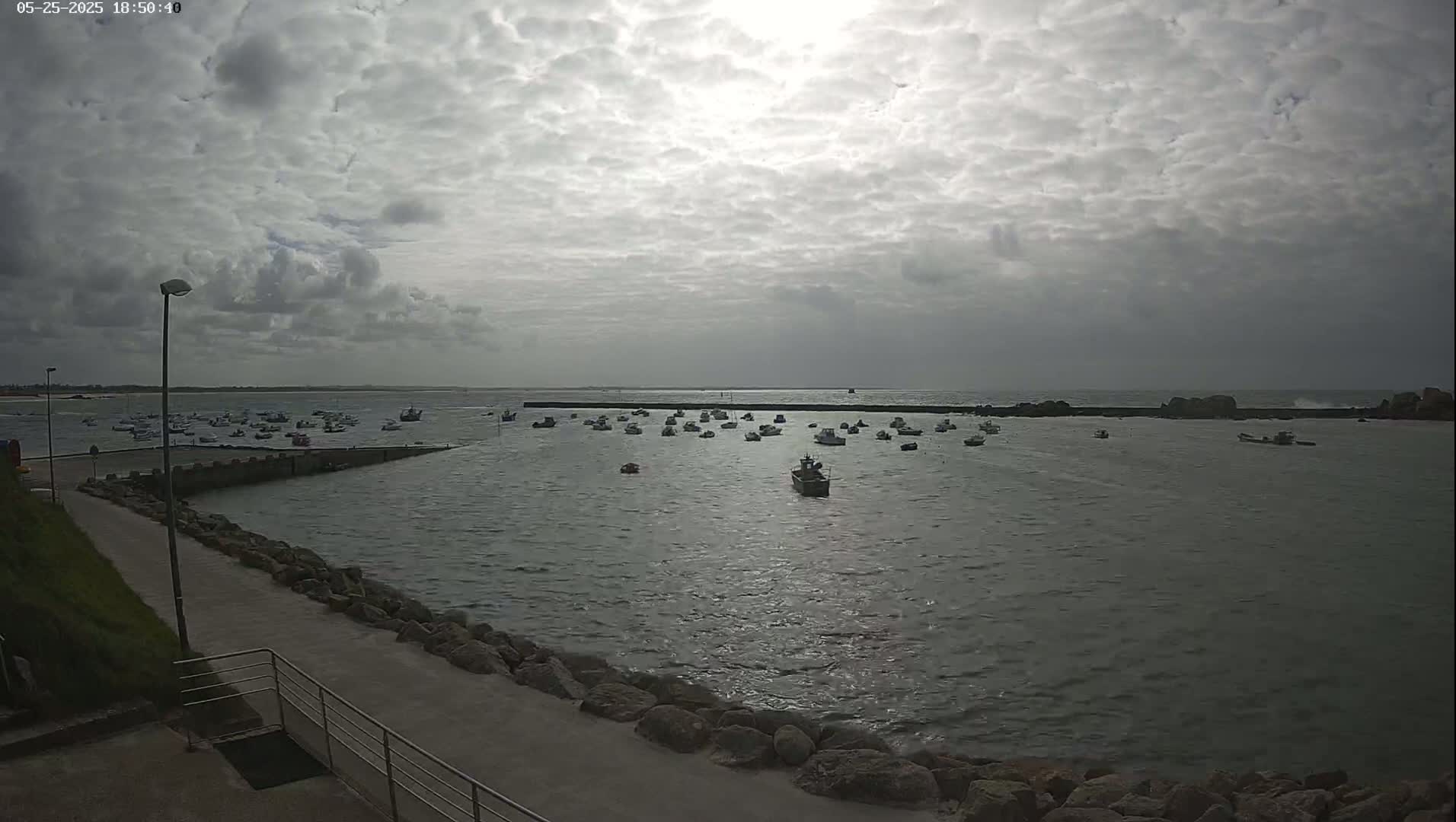 Many small boats are moored in a calm harbor under a cloudy sky.