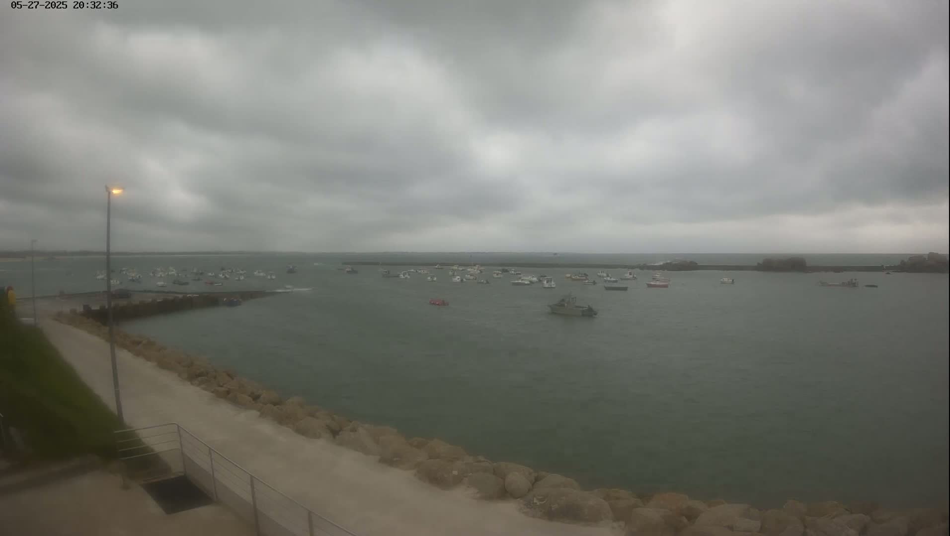 A harbor filled with numerous small boats is visible under an overcast, gray sky.