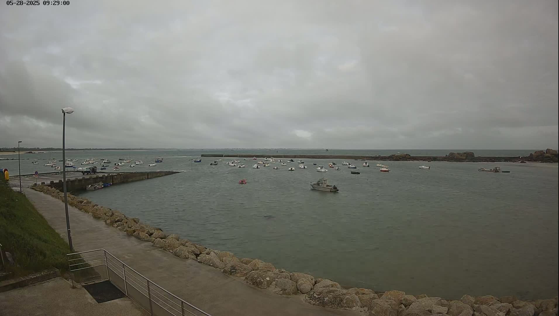 Many small boats are moored in a calm harbor on an overcast day.