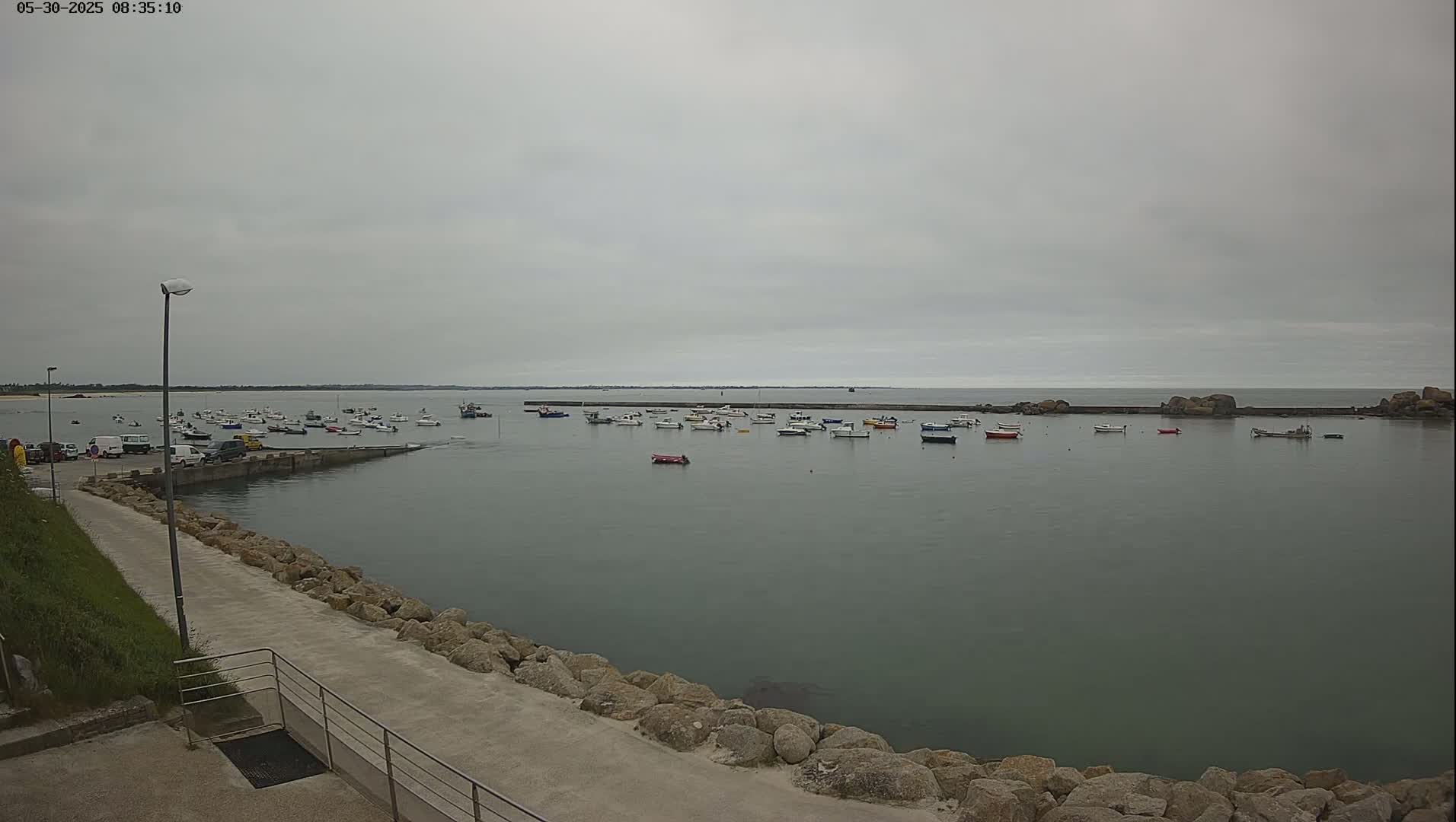 A calm harbor with numerous small boats under an overcast sky.