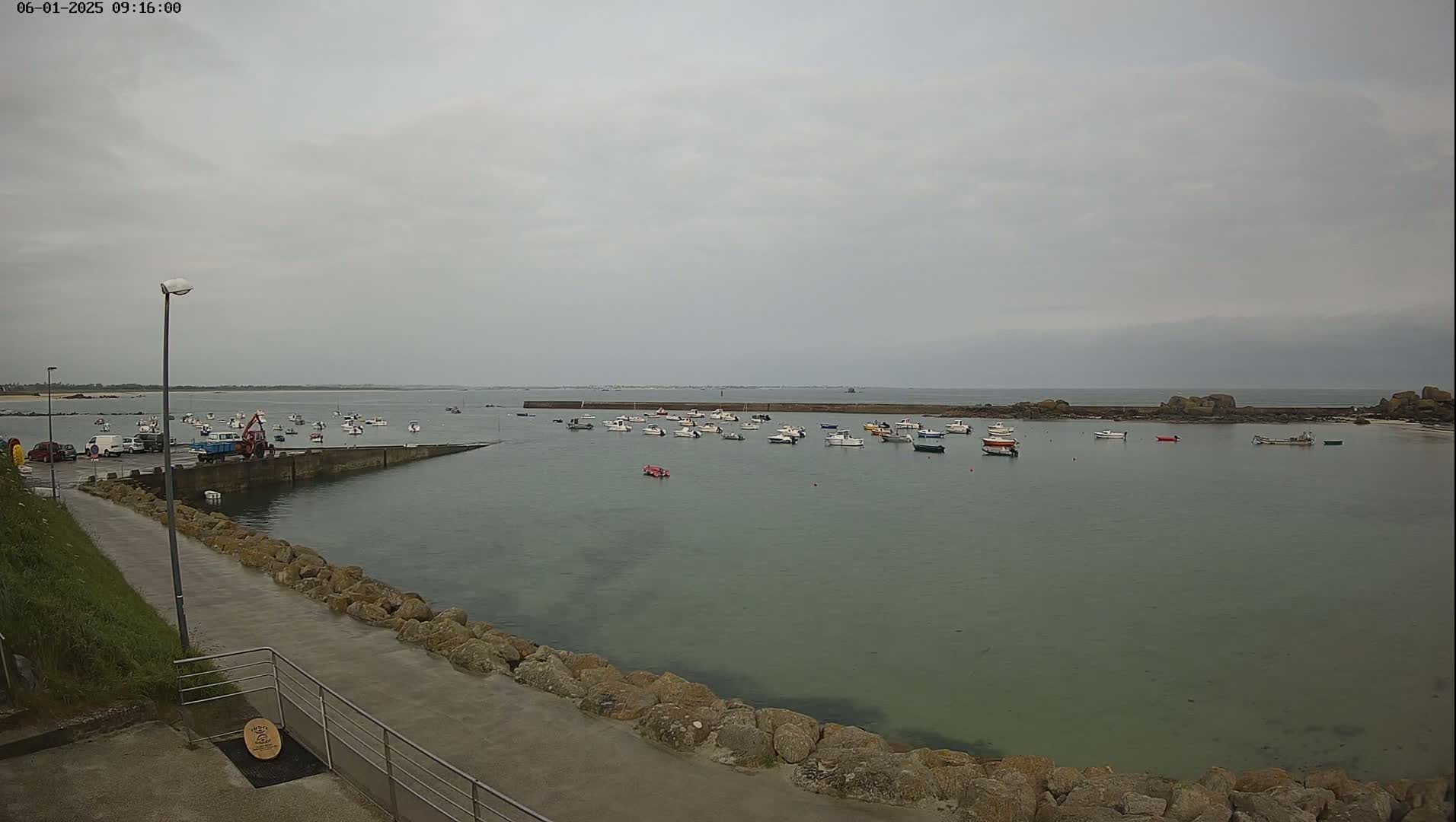 A calm harbor filled with numerous small boats under an overcast sky.