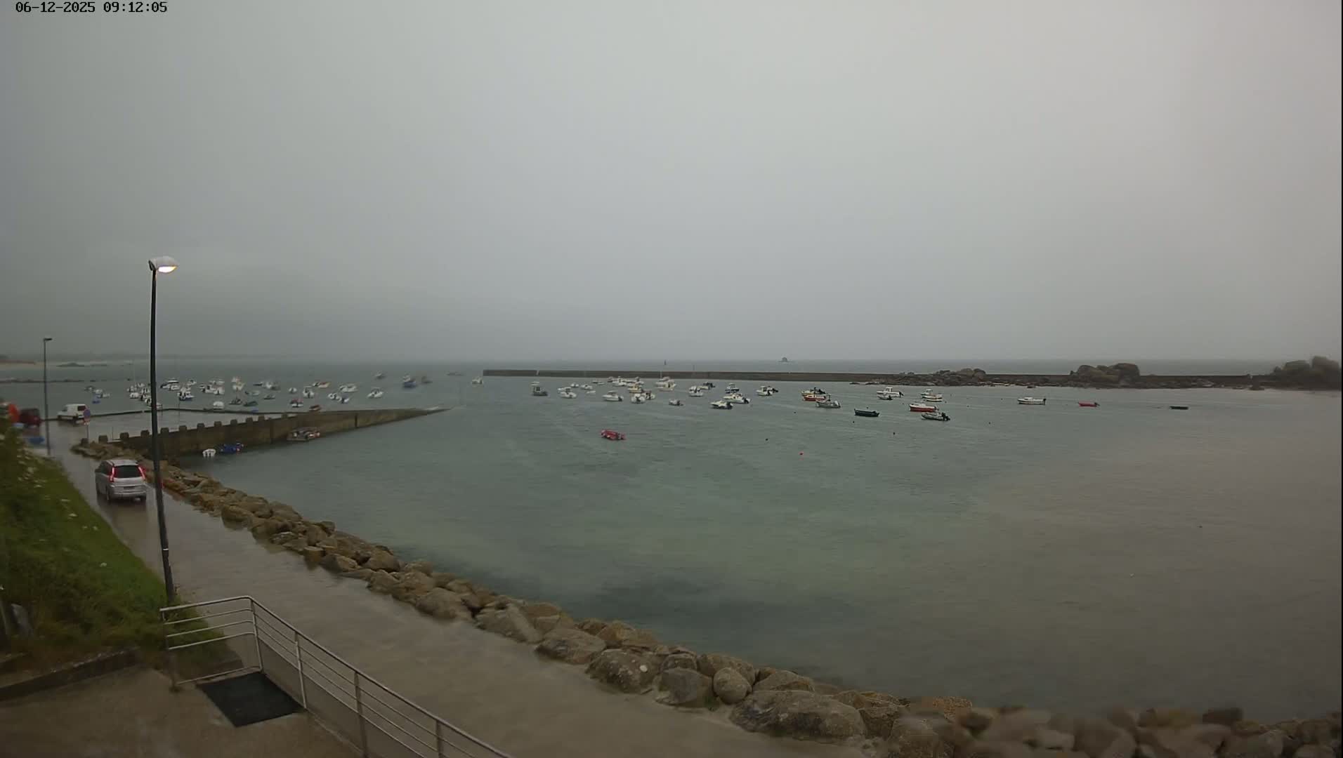 A harbor filled with numerous small boats is seen under an overcast sky, with a wet roadway visible in the foreground.