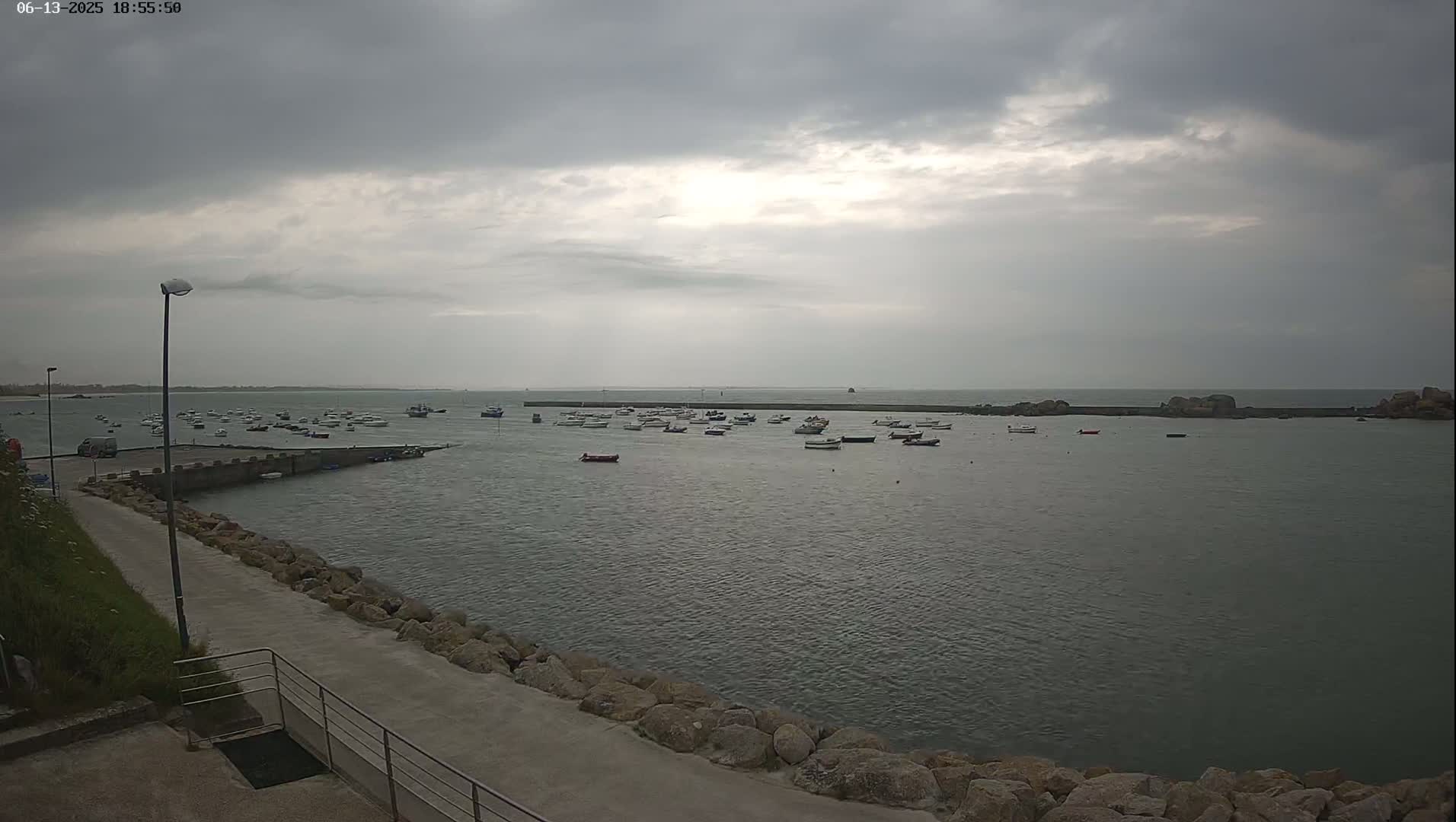 A harbor filled with numerous small boats is viewed from a paved walkway under an overcast sky.