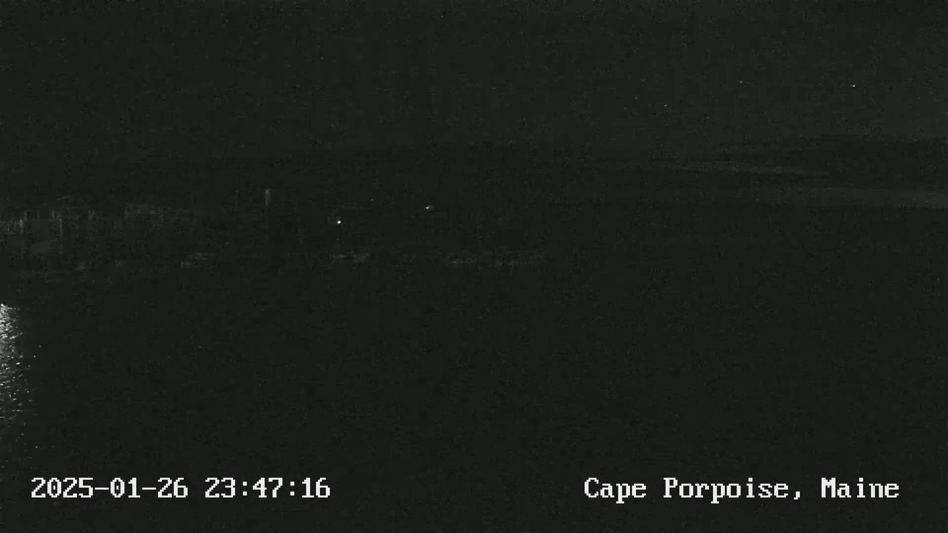 Here is a description of the image: A nighttime, low-light view of a dark shoreline and water under a clear, starry sky.