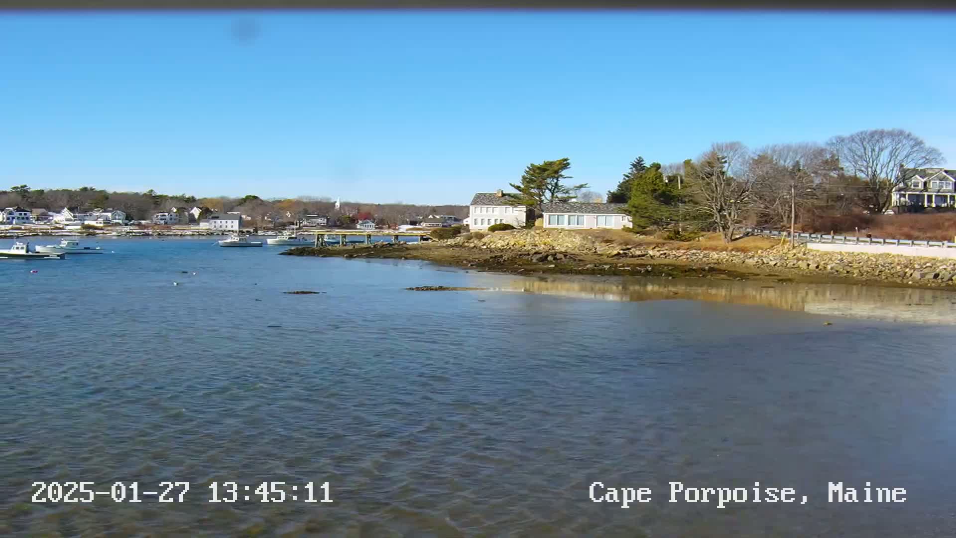 A calm body of water with several boats moored near a shoreline featuring houses and bare trees under a clear blue sky.