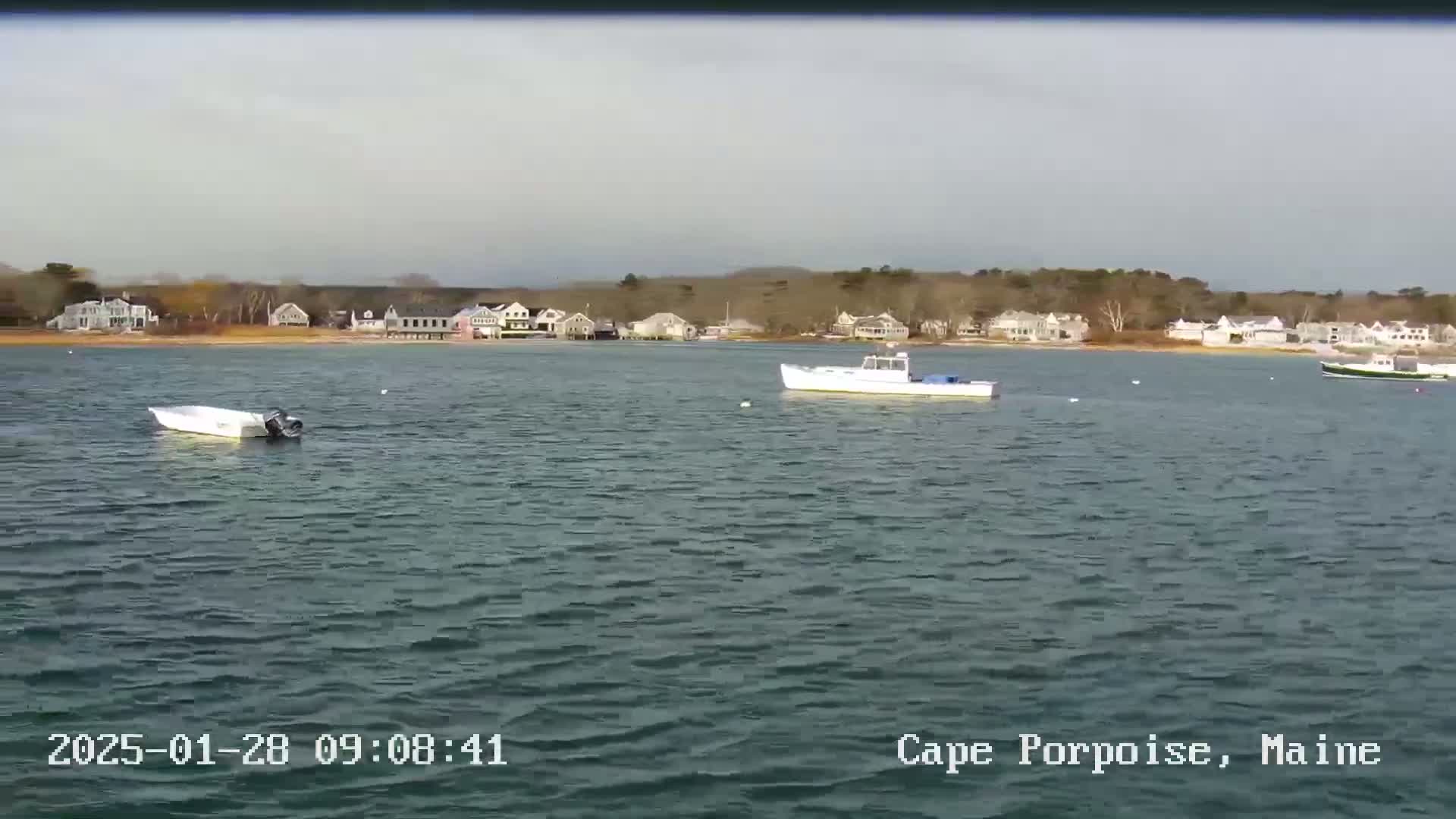 A calm body of water shows several small boats and a shoreline with houses under a cloudy sky.