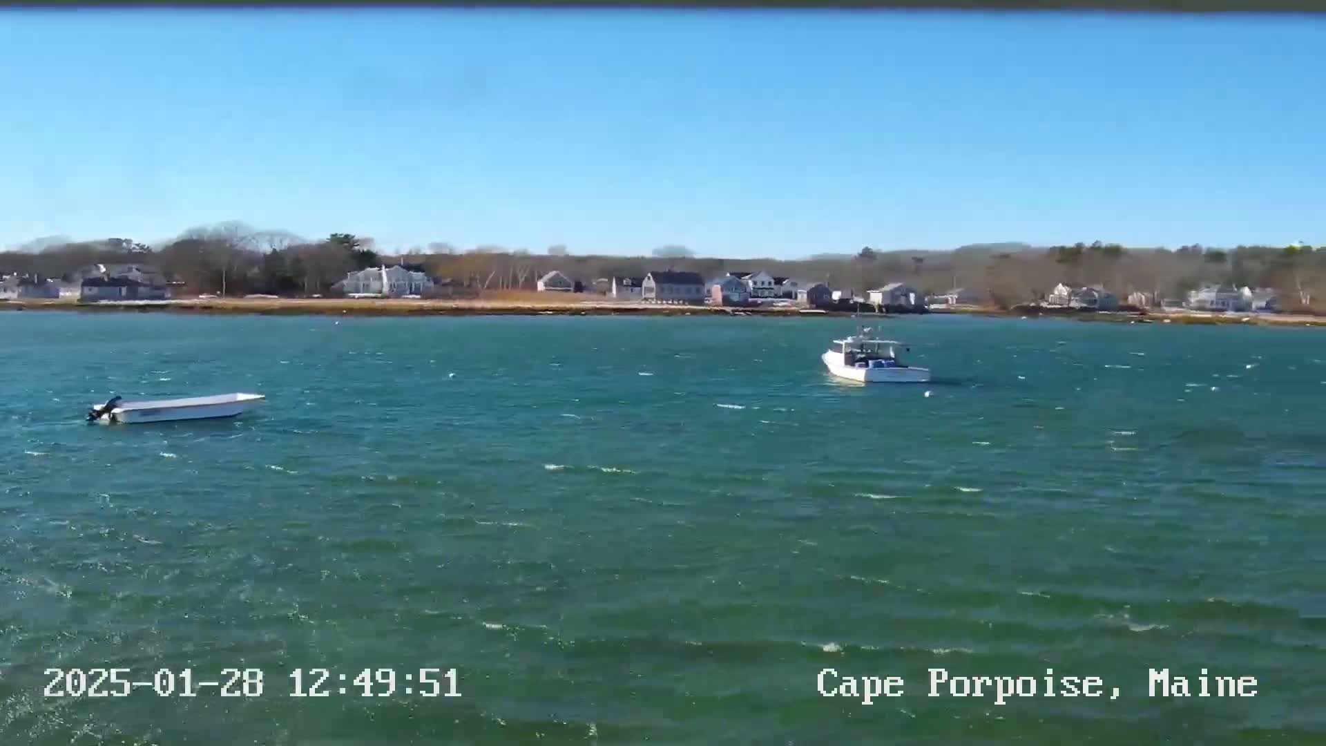 Two boats are on a windy, green body of water in front of a shoreline with houses and trees under a clear blue sky.