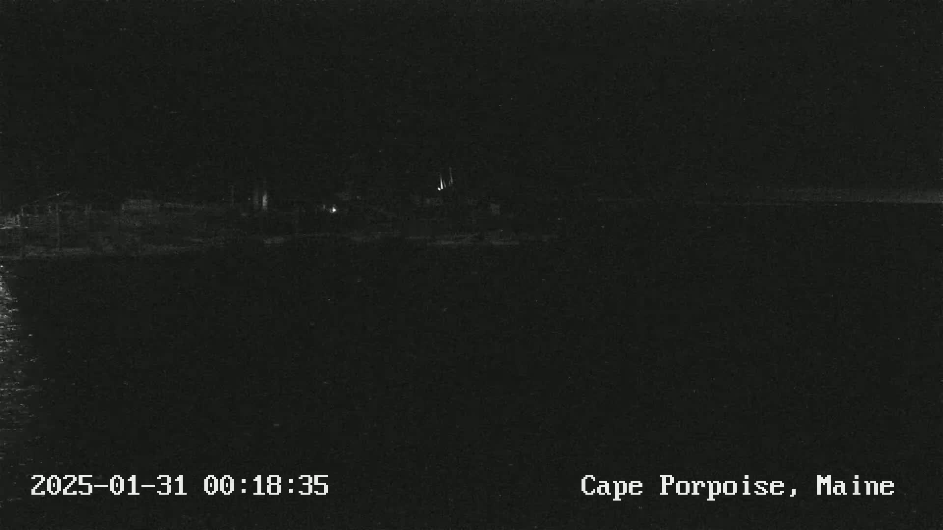 A nighttime, low-light image shows a dark body of water with a faint shoreline and a few distant lights.