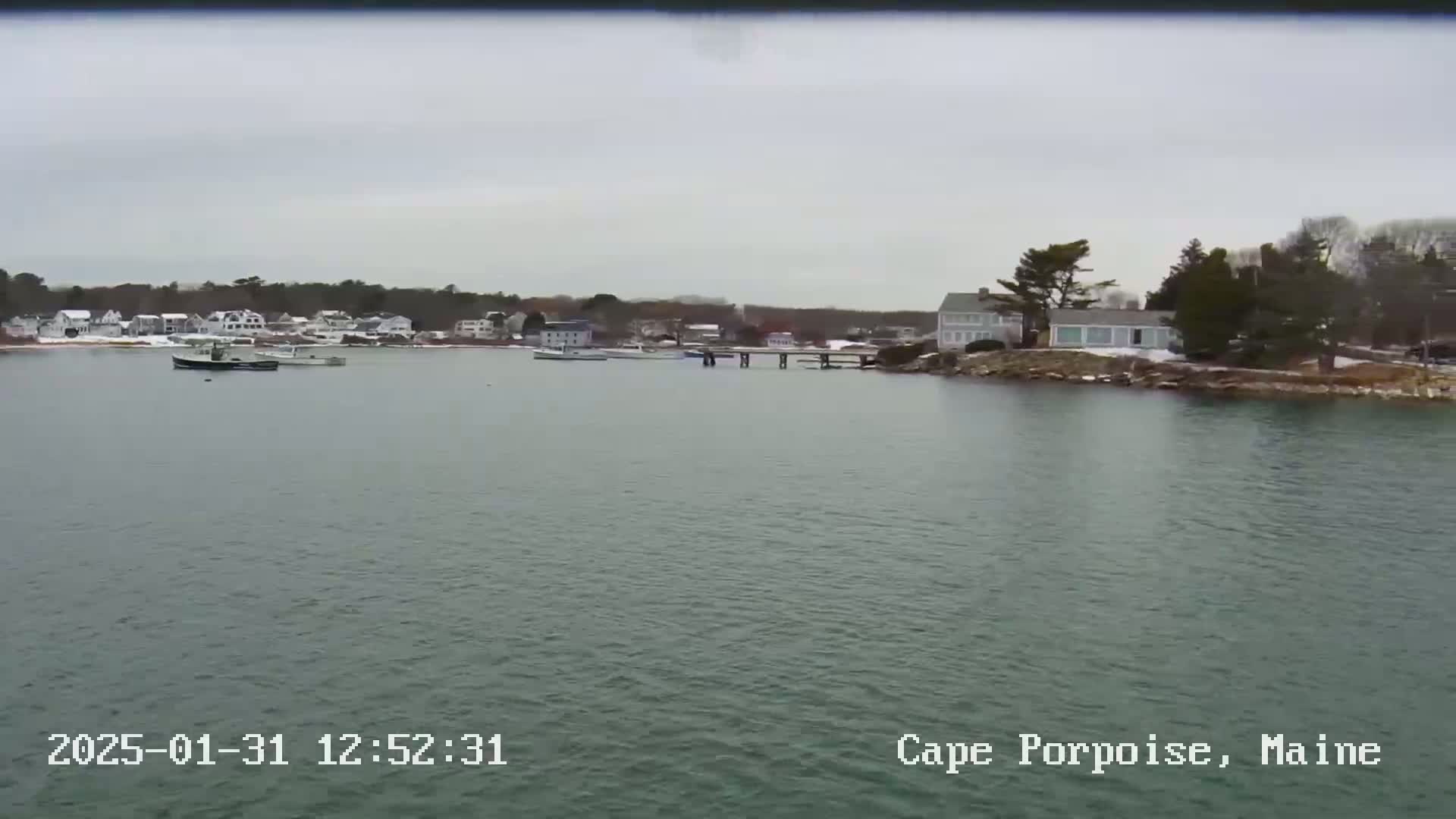 A calm body of water shows several boats near a shoreline with houses and a small pier, under an overcast sky.