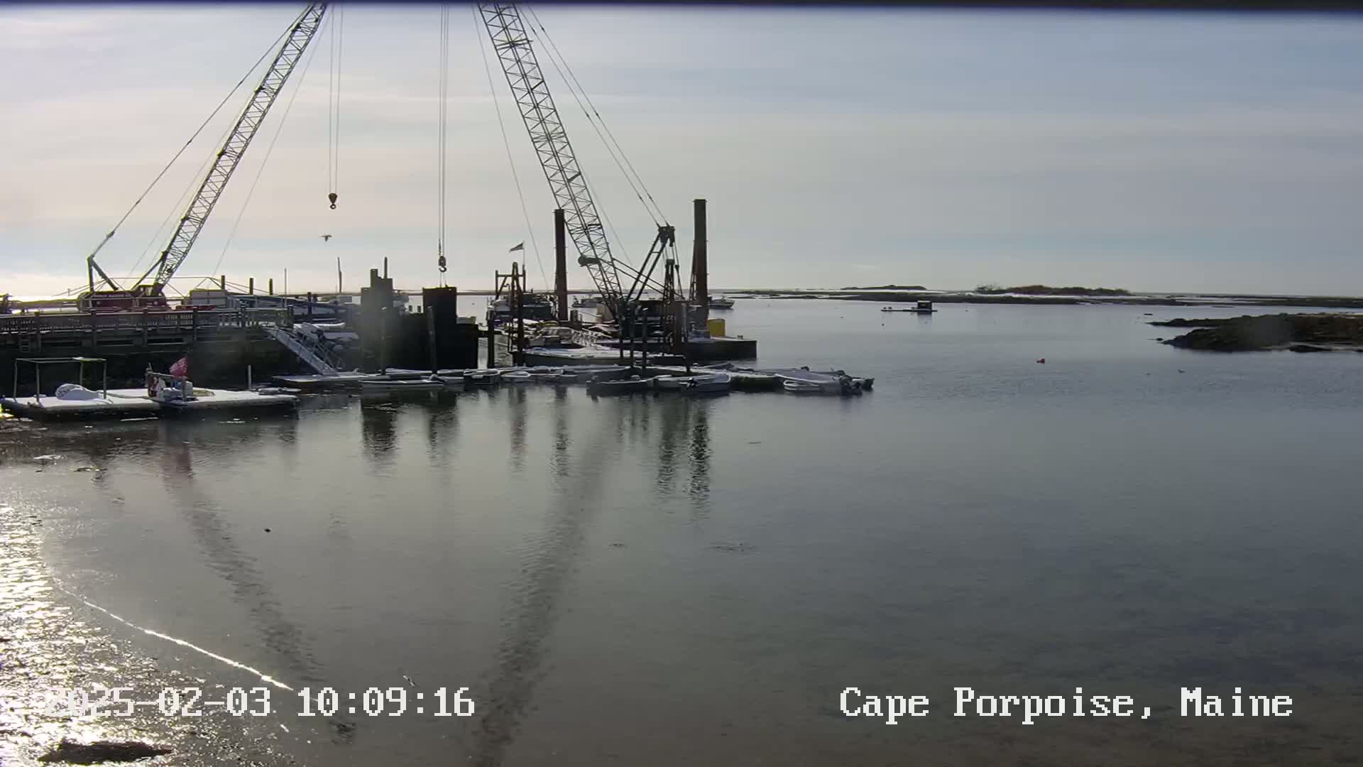 A large crane overlooks a calm harbor with numerous small boats docked under a mostly sunny sky.