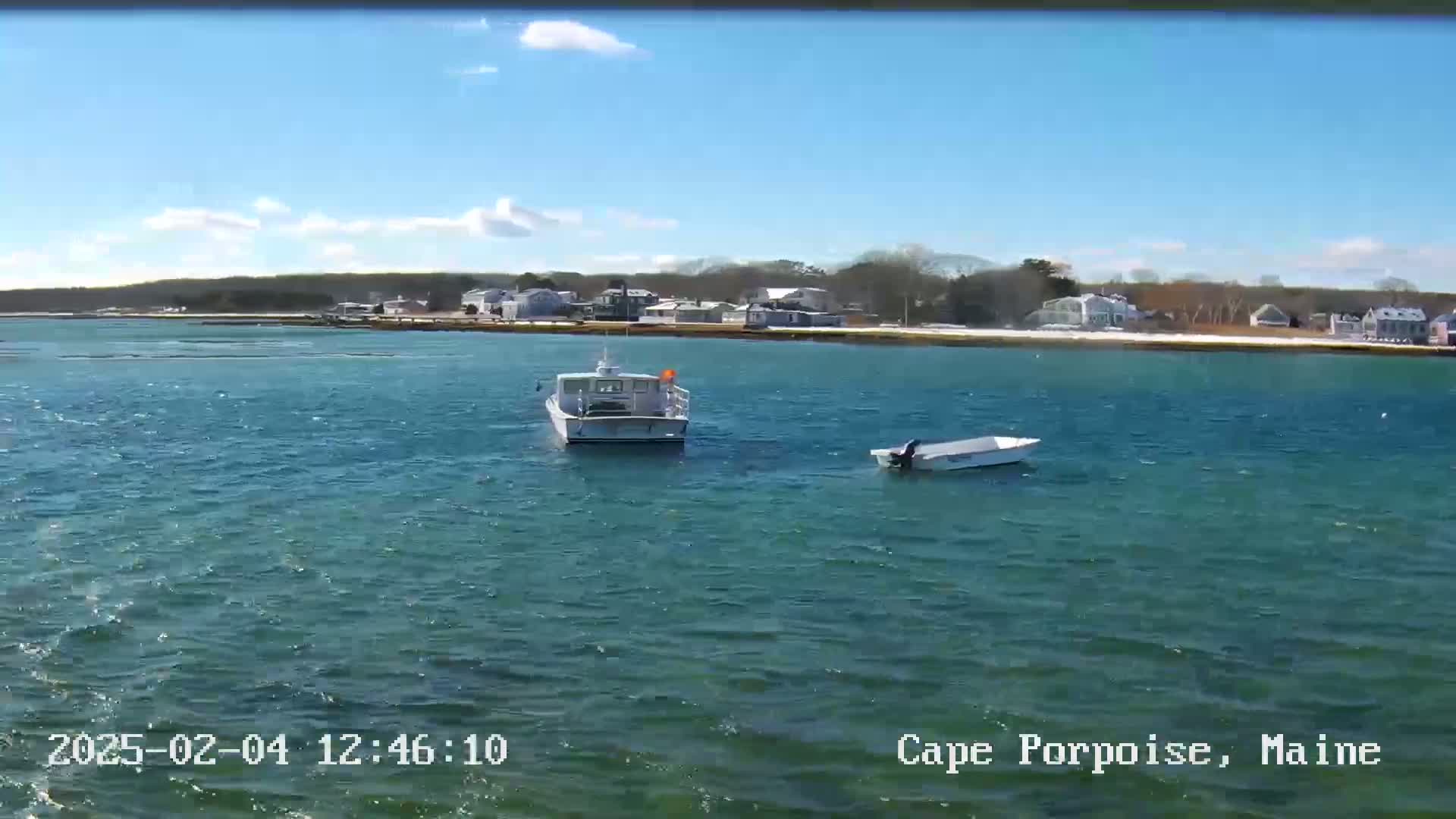 Two boats are on a choppy body of water in front of a shoreline with houses and trees under a mostly sunny sky.