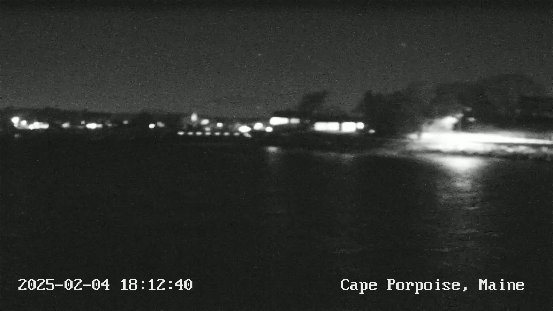 A blurry nighttime image shows a dark body of water in front of a faintly lit town under a clear, dark sky.