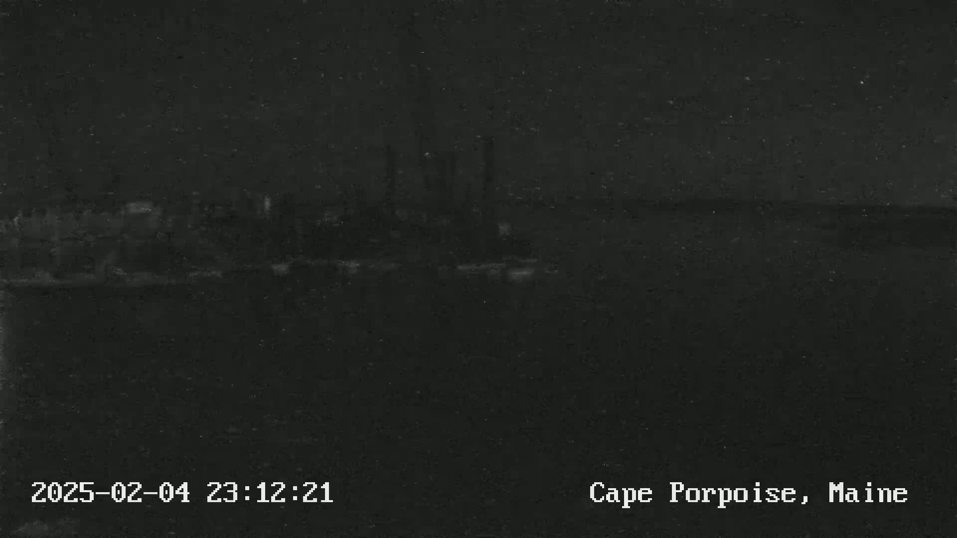 A dark, nighttime view of a body of water with a dimly lit shoreline in the distance.