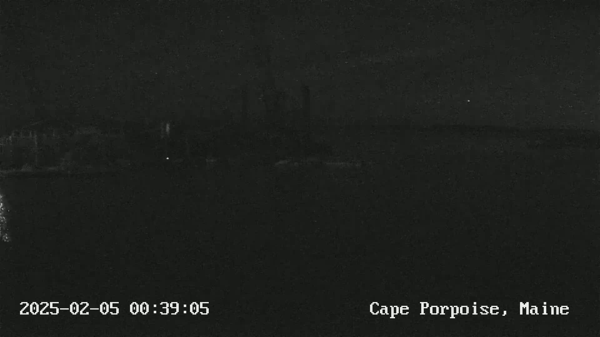 A dark, nighttime image shows a blurry, indistinct shoreline under a clear, dark sky.