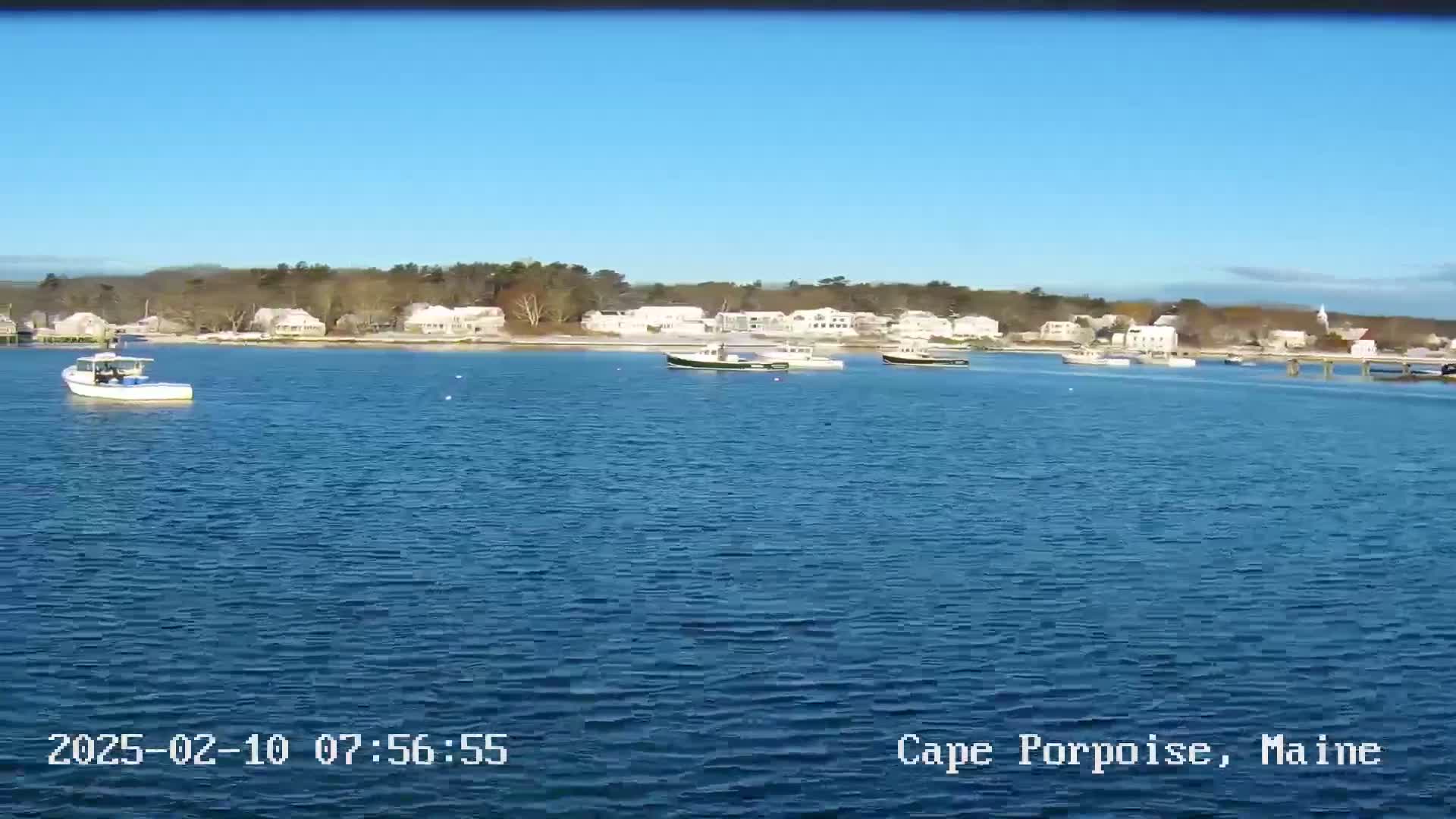 Several boats are in a calm body of water in front of a shoreline with houses and trees under a clear blue sky.
