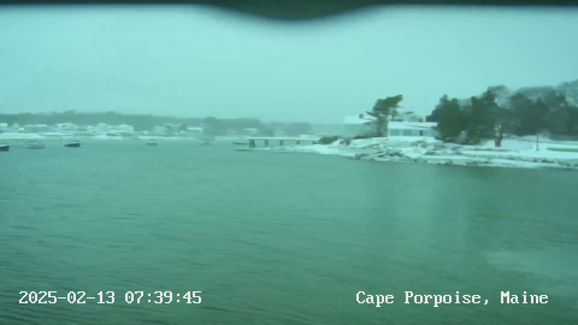 A snow-covered shoreline with several houses and boats is visible across a body of calm, teal water during a light snowfall.