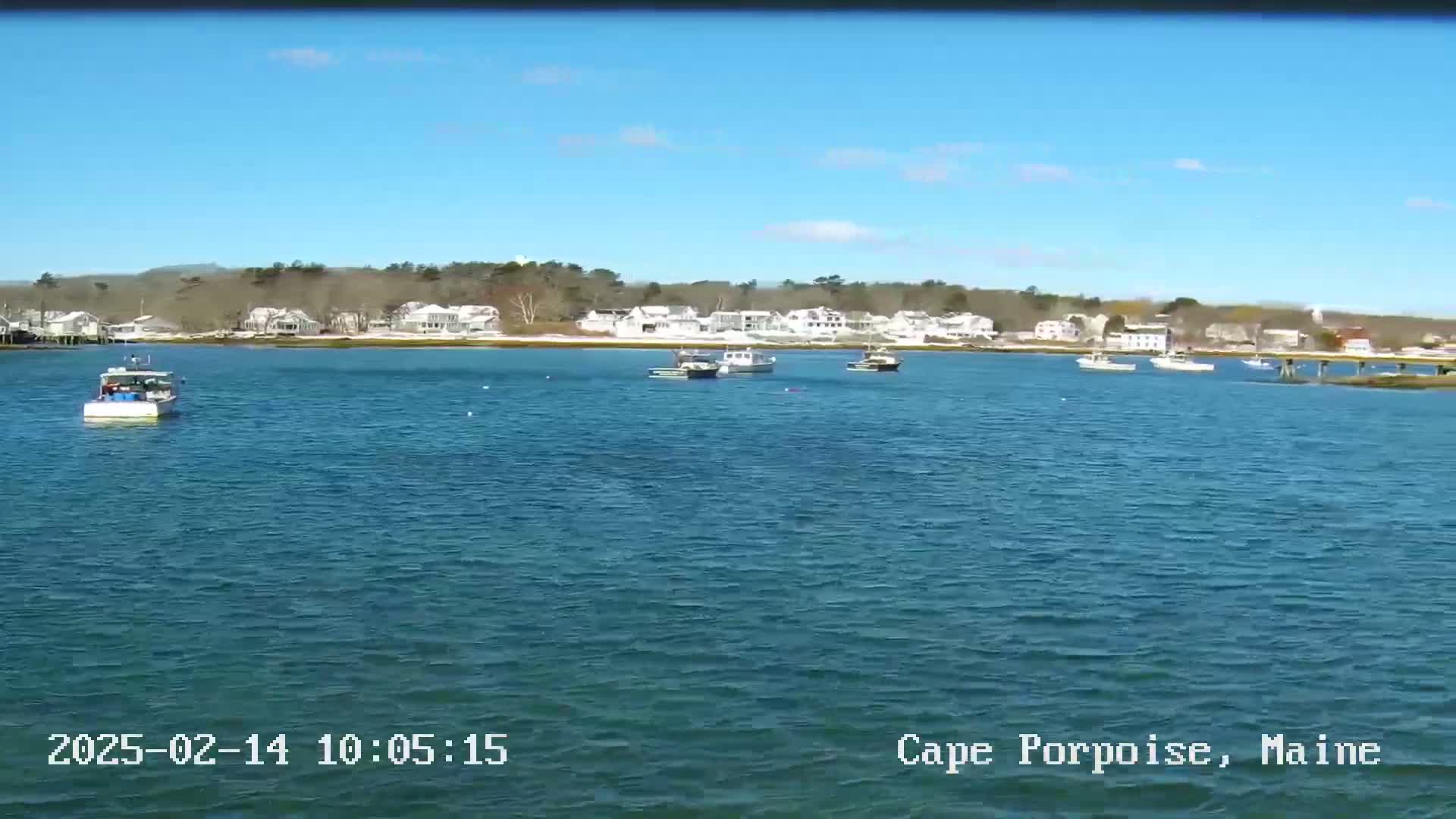 Several boats are on a calm body of water in front of a shoreline with houses and trees under a clear blue sky.