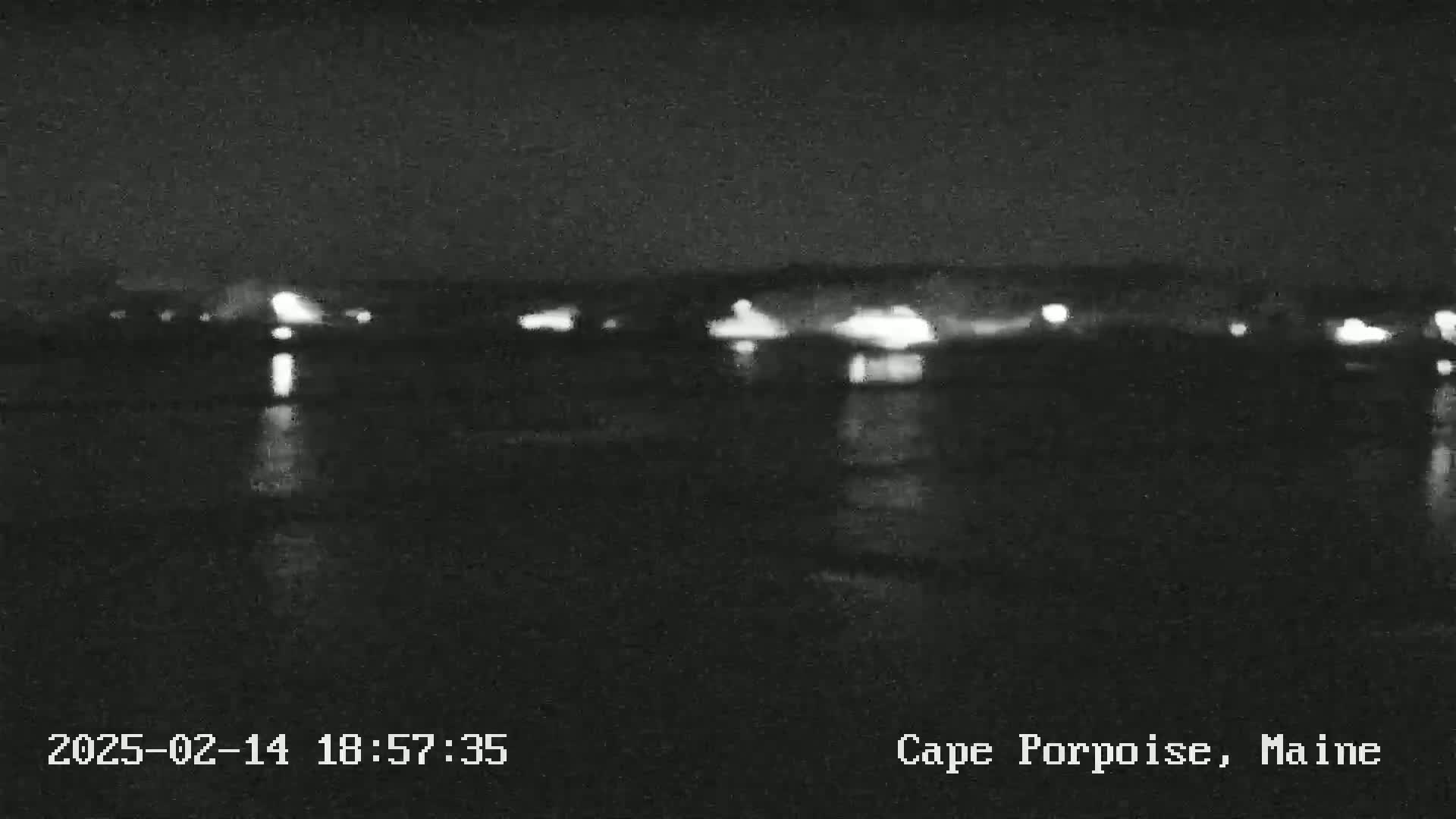 A nighttime view of a dark body of water reflecting the faint lights of a distant town under a clear, dark sky.