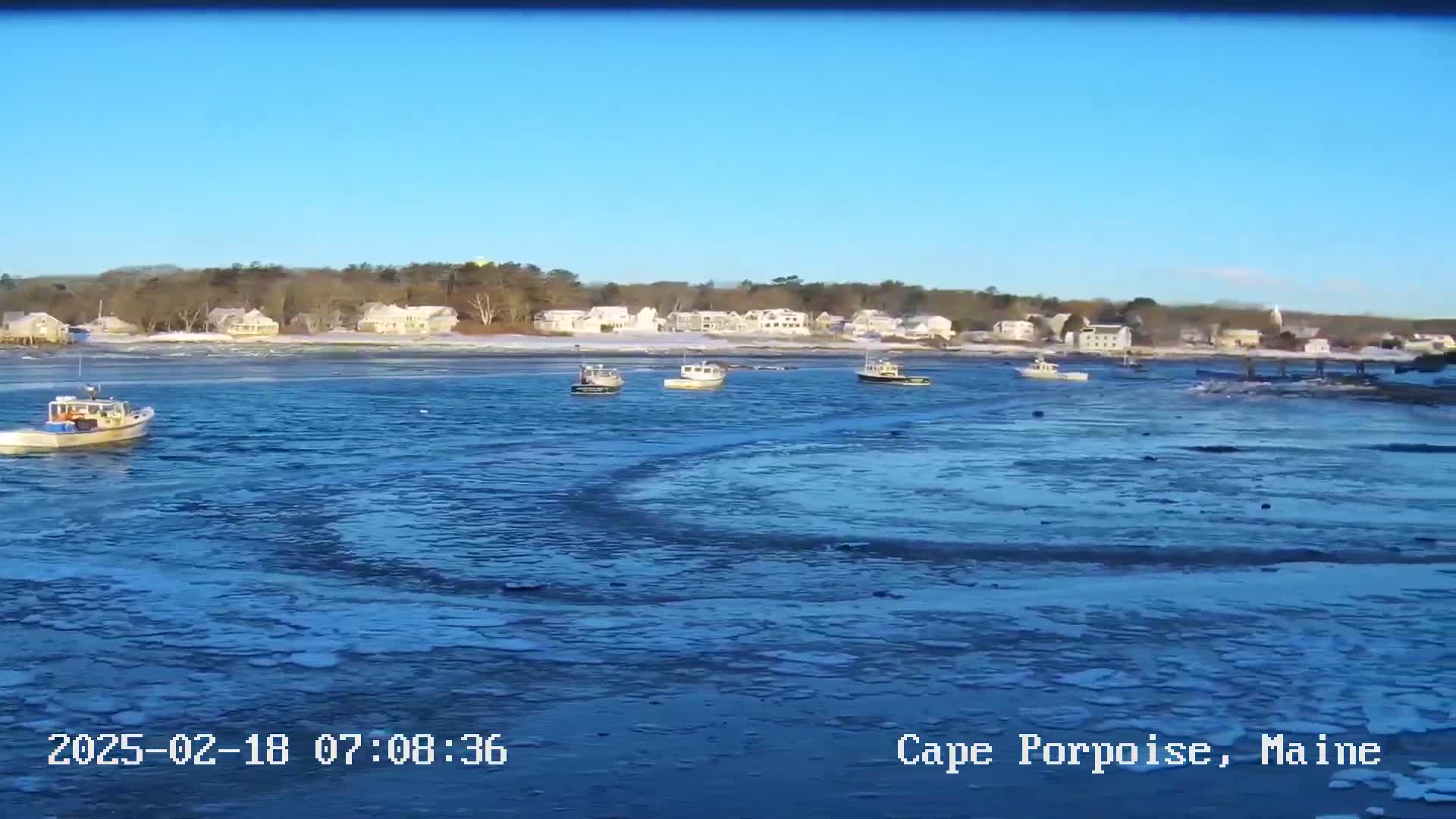 Several small boats are moored in a partially frozen body of water in front of a shoreline of houses and trees under a clear blue sky.