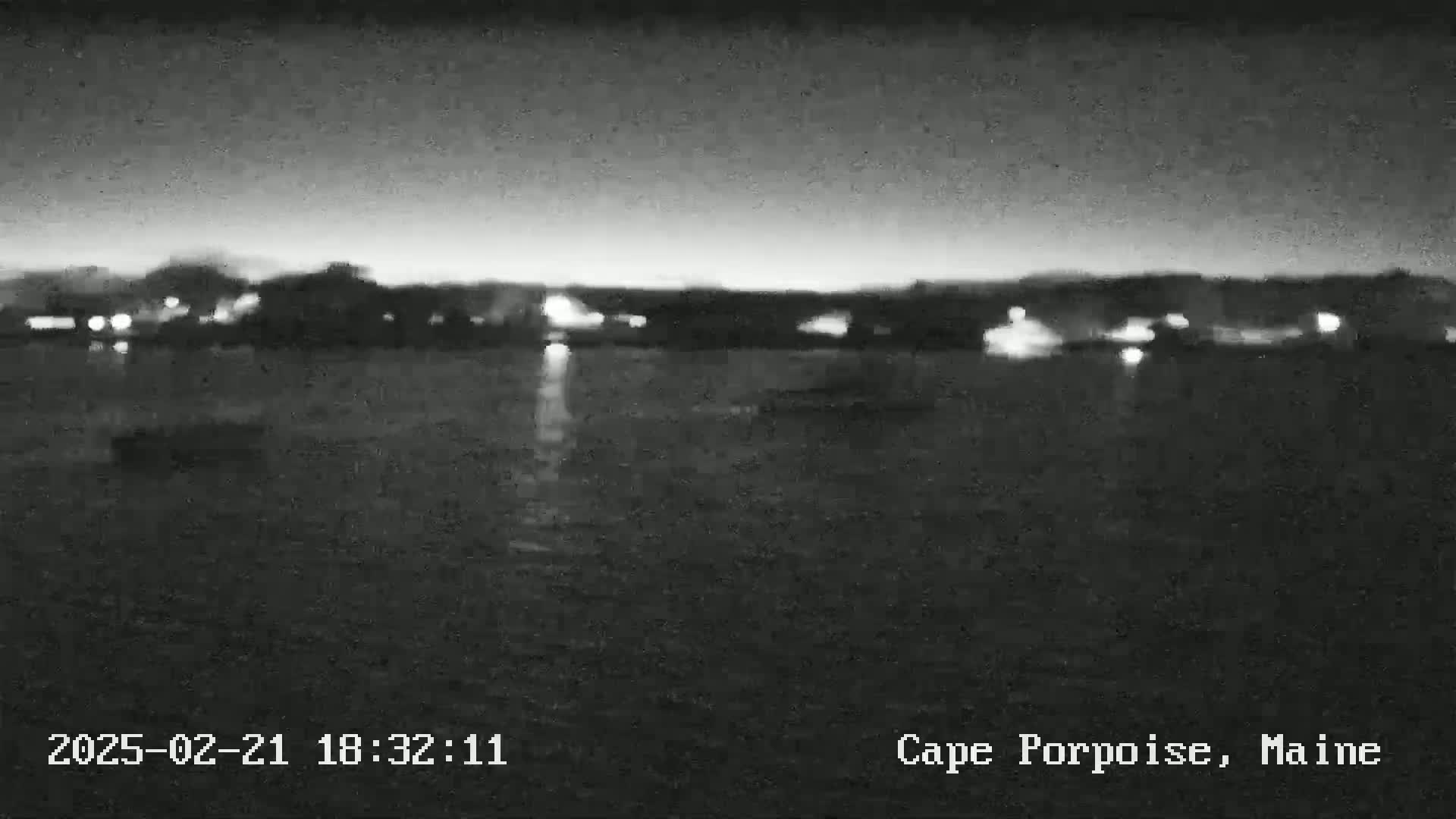 A nighttime, low-light image shows a dark body of water with a distant shoreline exhibiting faint lights.