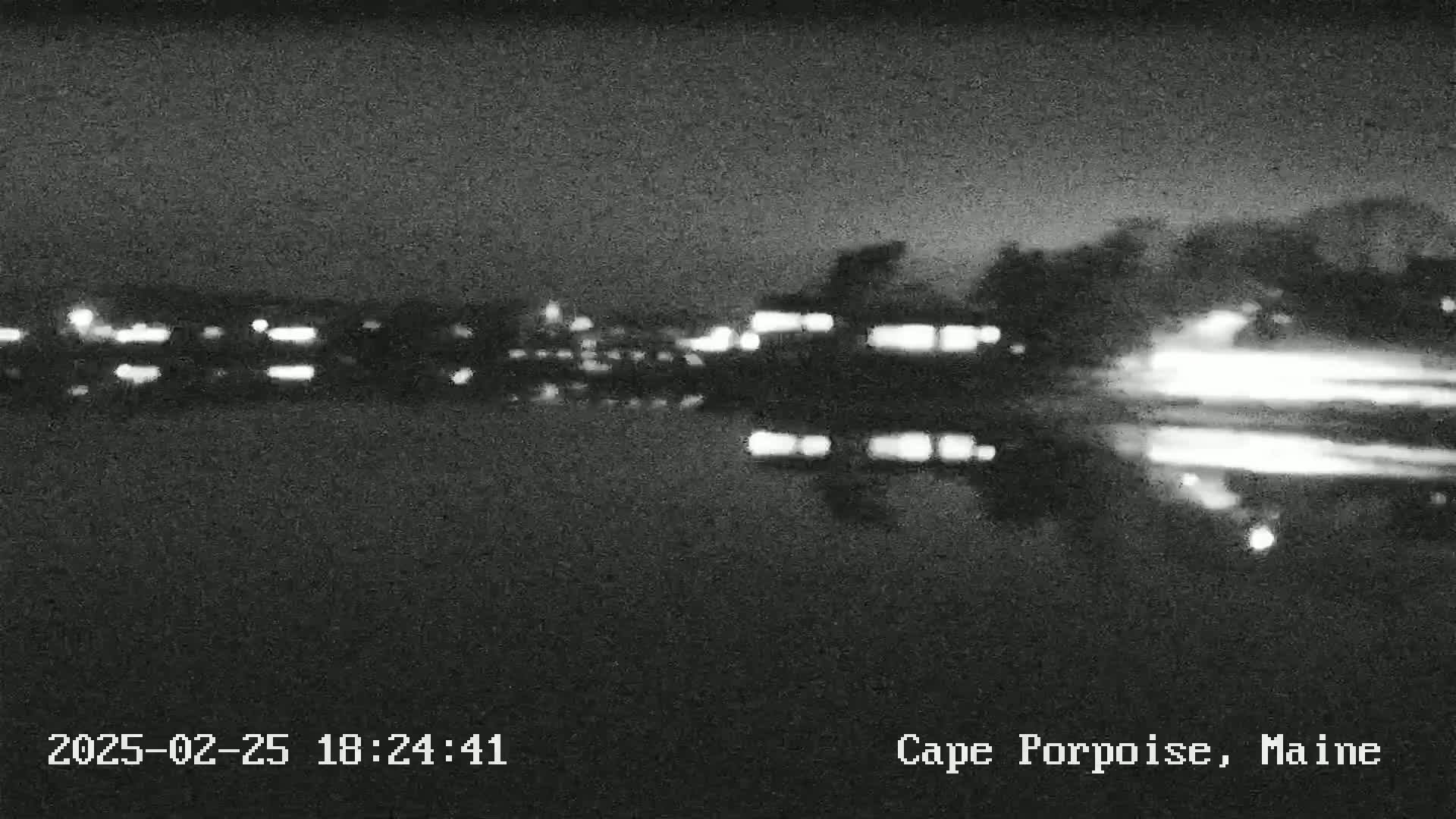 A nighttime, blurry view of a body of water reflecting lights from a distant town or city under a dark sky.