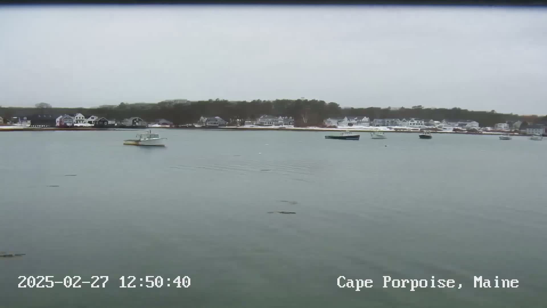 Several small boats are moored in a calm body of water in front of a snow-dusted shoreline with houses and trees.