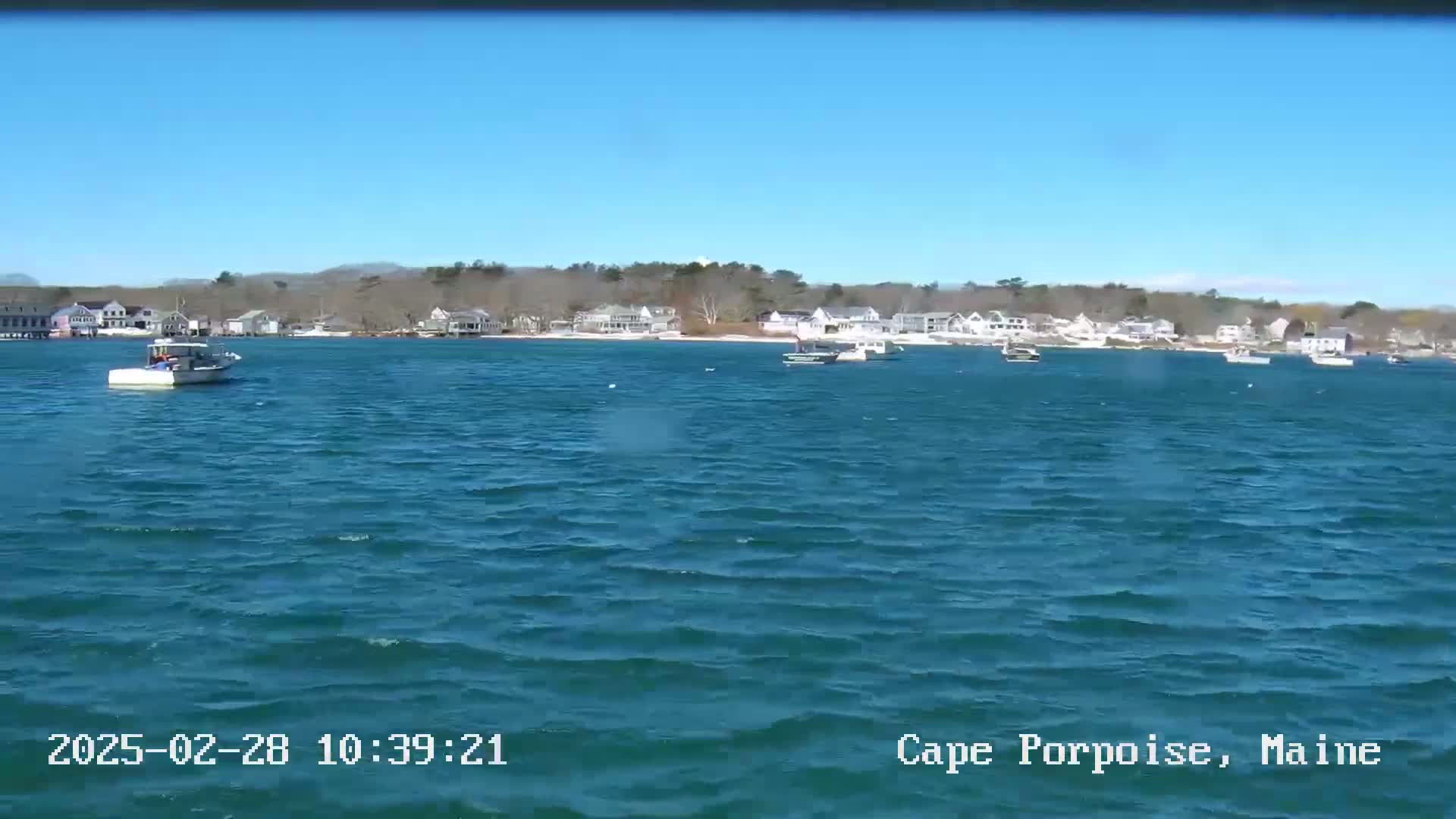 Several small boats are in a body of water in front of a shoreline with houses and trees under a clear blue sky.