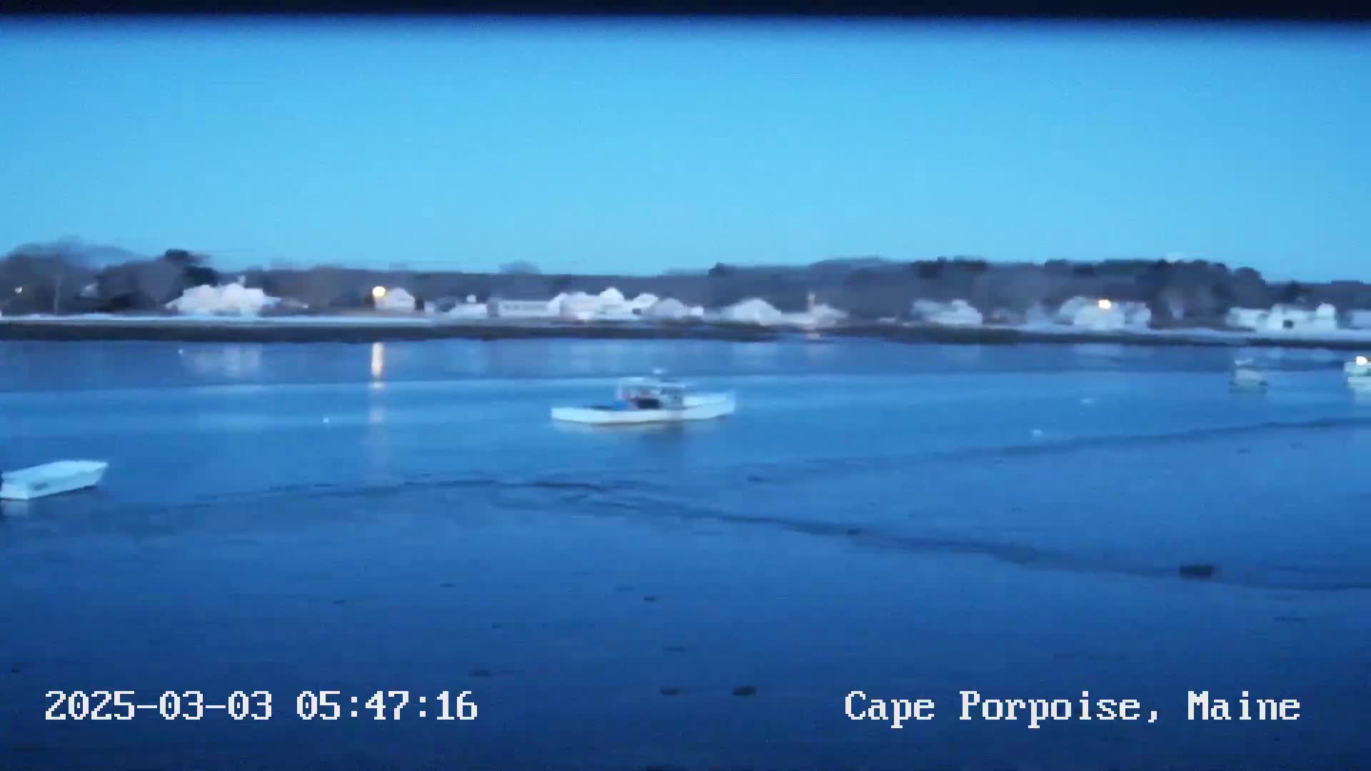 Several small boats are on a calm, dark-blue body of water in front of a shoreline with houses and trees under a clear, twilight sky.