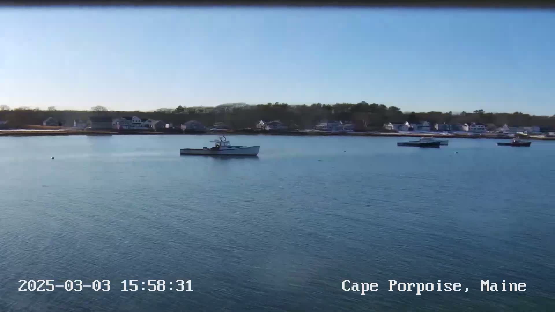 Several small boats are moored in calm water in front of a shoreline of houses and trees under a clear blue sky.