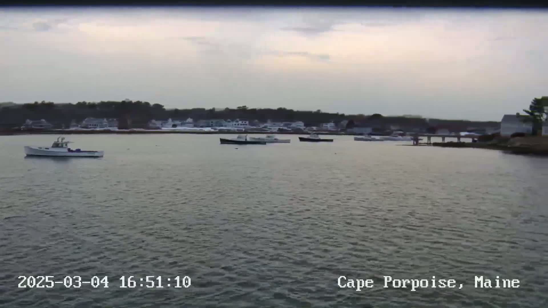 Several small boats are moored in calm water near a shoreline with houses and trees under an overcast sky.