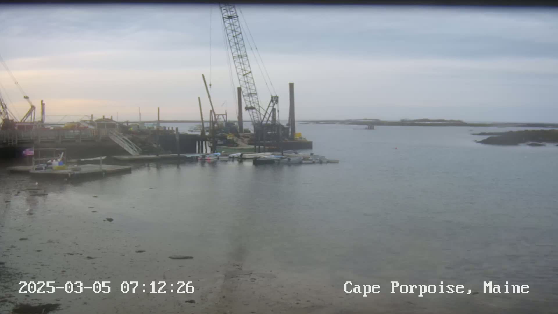 A large crane sits on a dock amongst several small boats in a calm, overcast harbor.