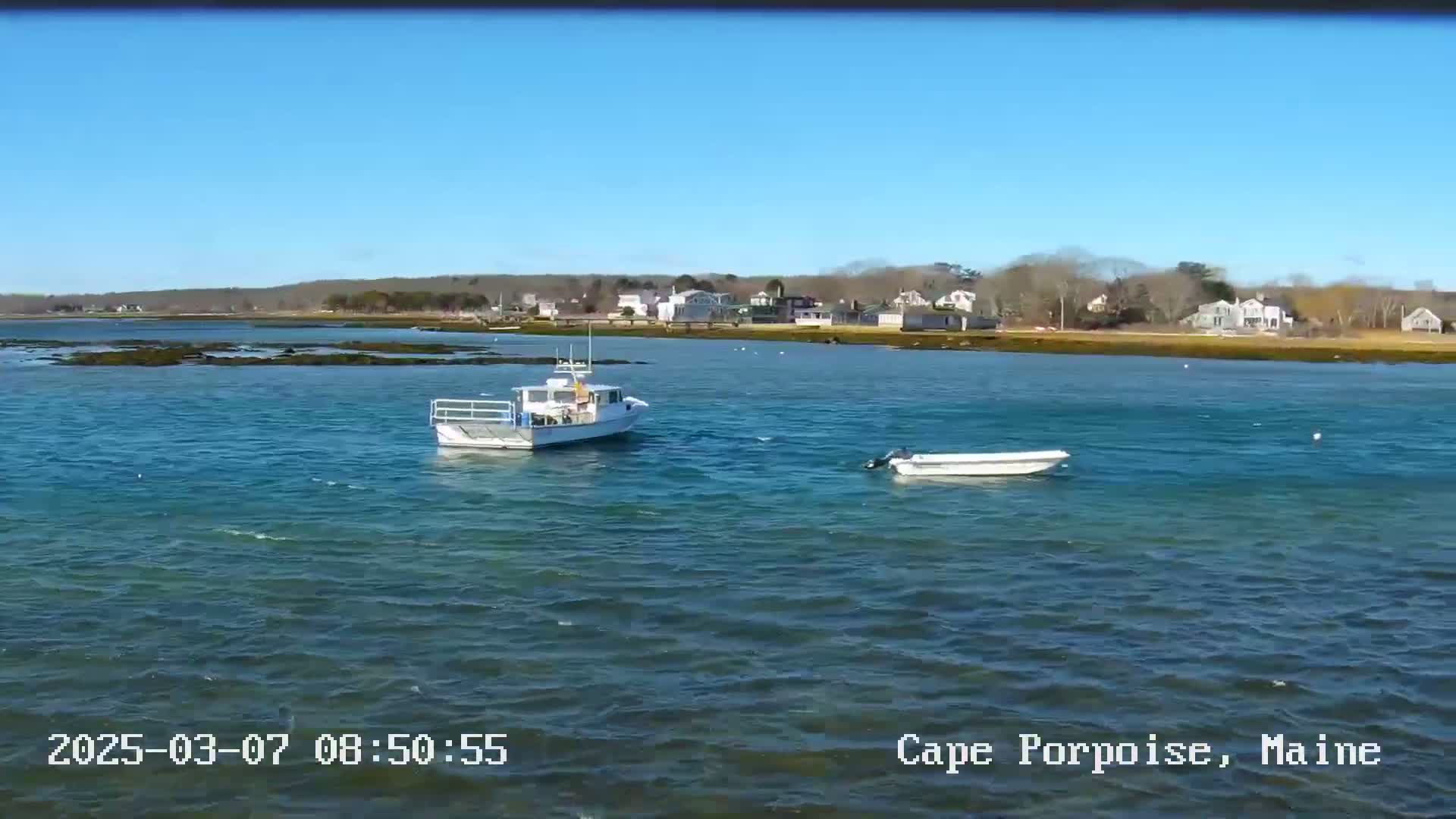 Two boats are on a calm, blue body of water in front of a shoreline with houses and trees under a clear blue sky.