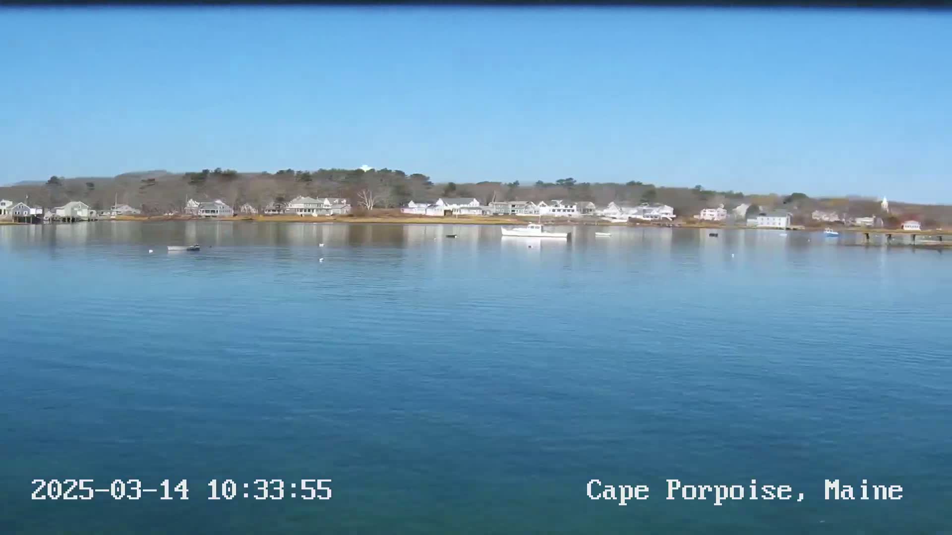 A calm body of water reflects a shoreline of houses and trees under a clear blue sky.