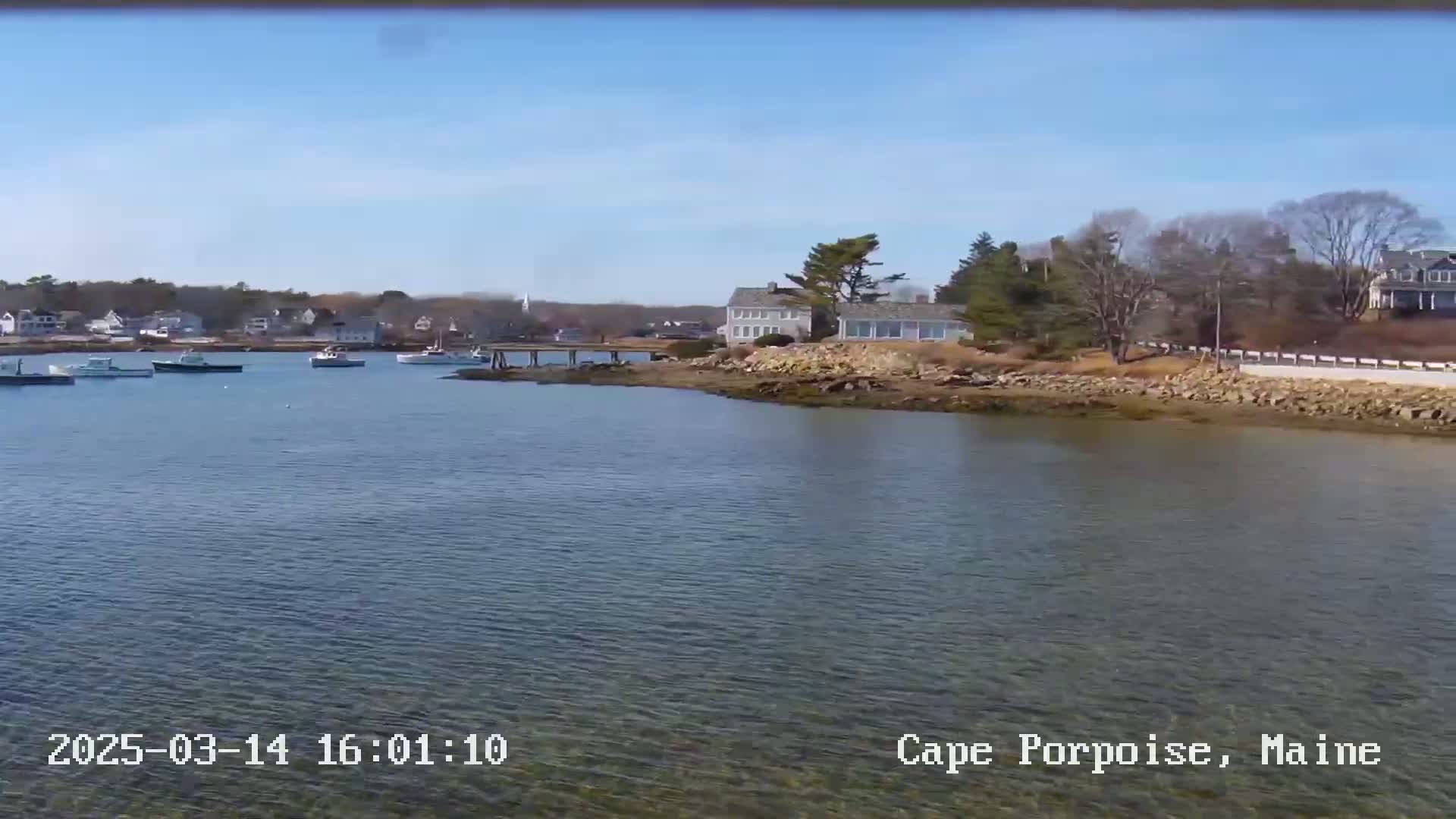 A calm body of water shows several boats moored near a shoreline with houses and trees under a clear, sunny sky.