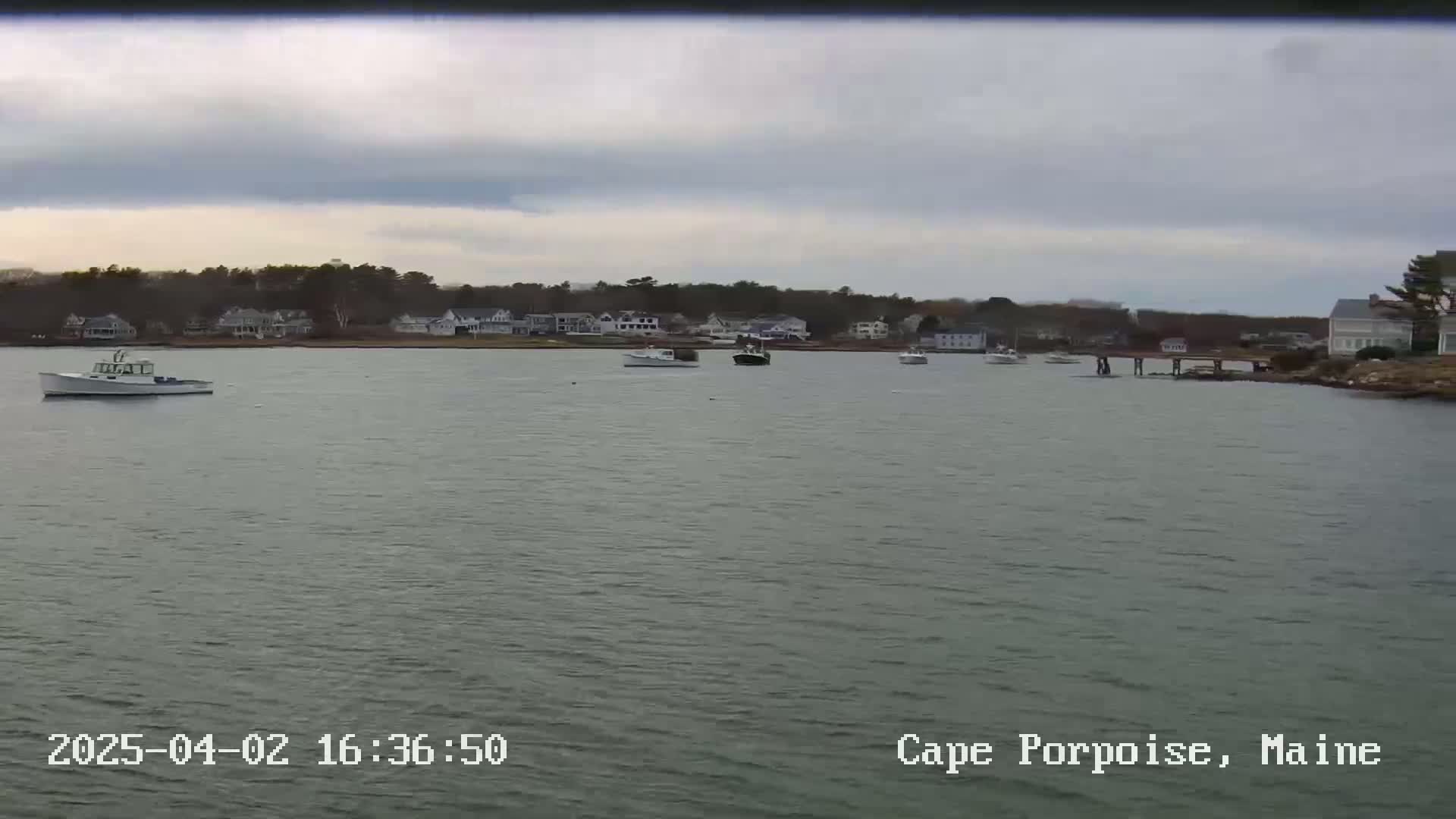 Several boats are moored in calm water near a shoreline with houses and trees under an overcast sky.