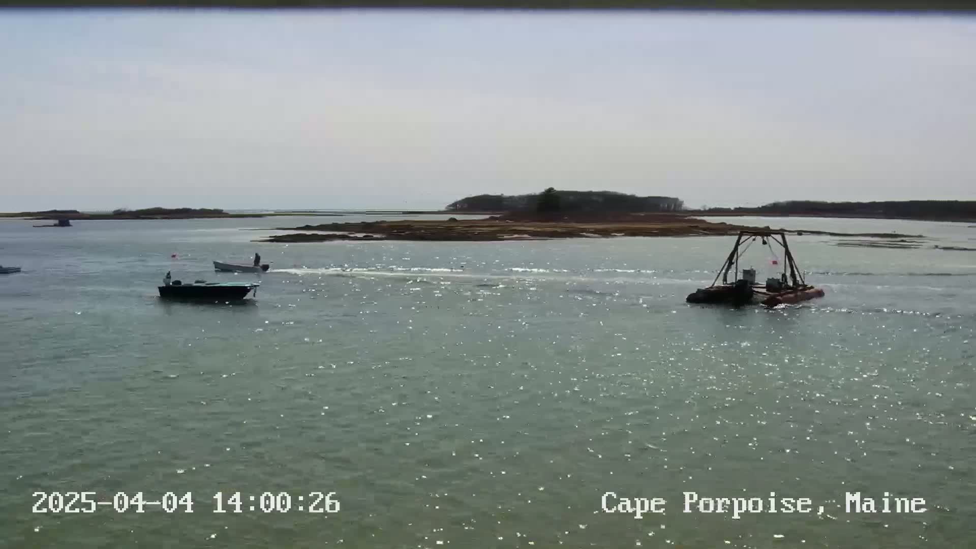 Several small boats are on a calm, sunny body of water near a small, tree-covered island.