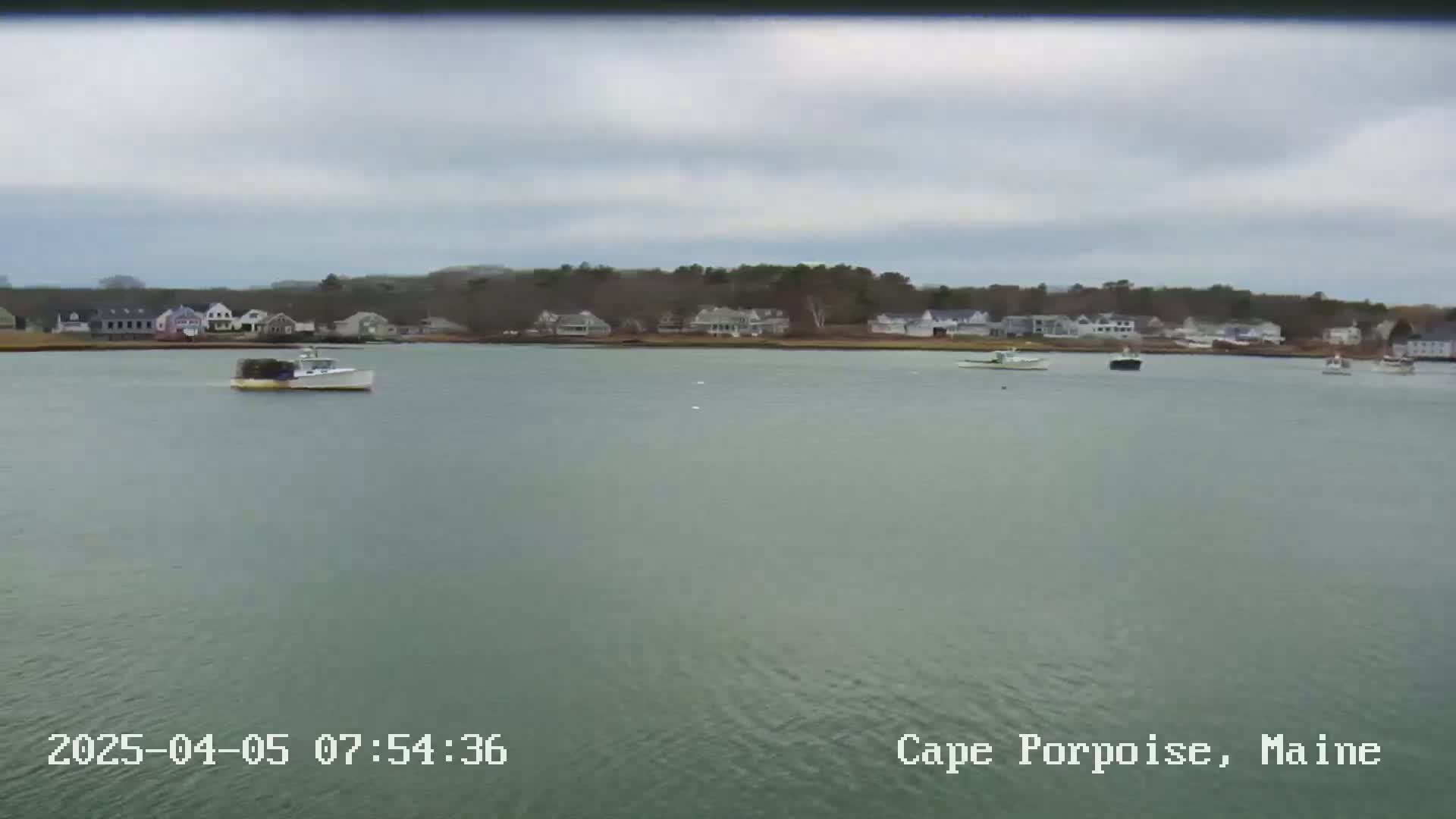 Several boats are on calm, gray water in front of a shoreline with houses and trees under a cloudy sky.