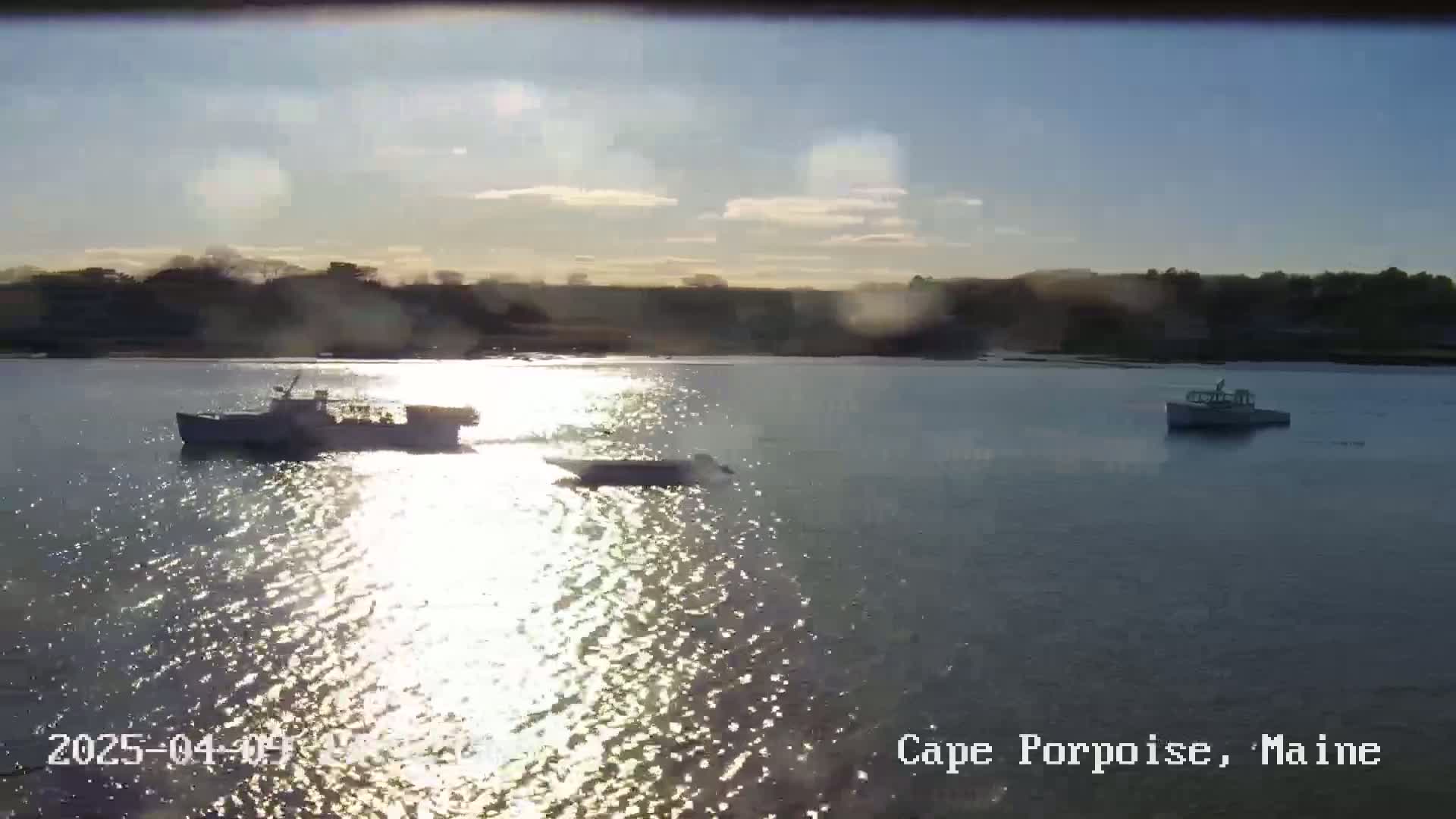 Two small boats are on calm, sunlit water near a shoreline with trees under a mostly clear sky.
