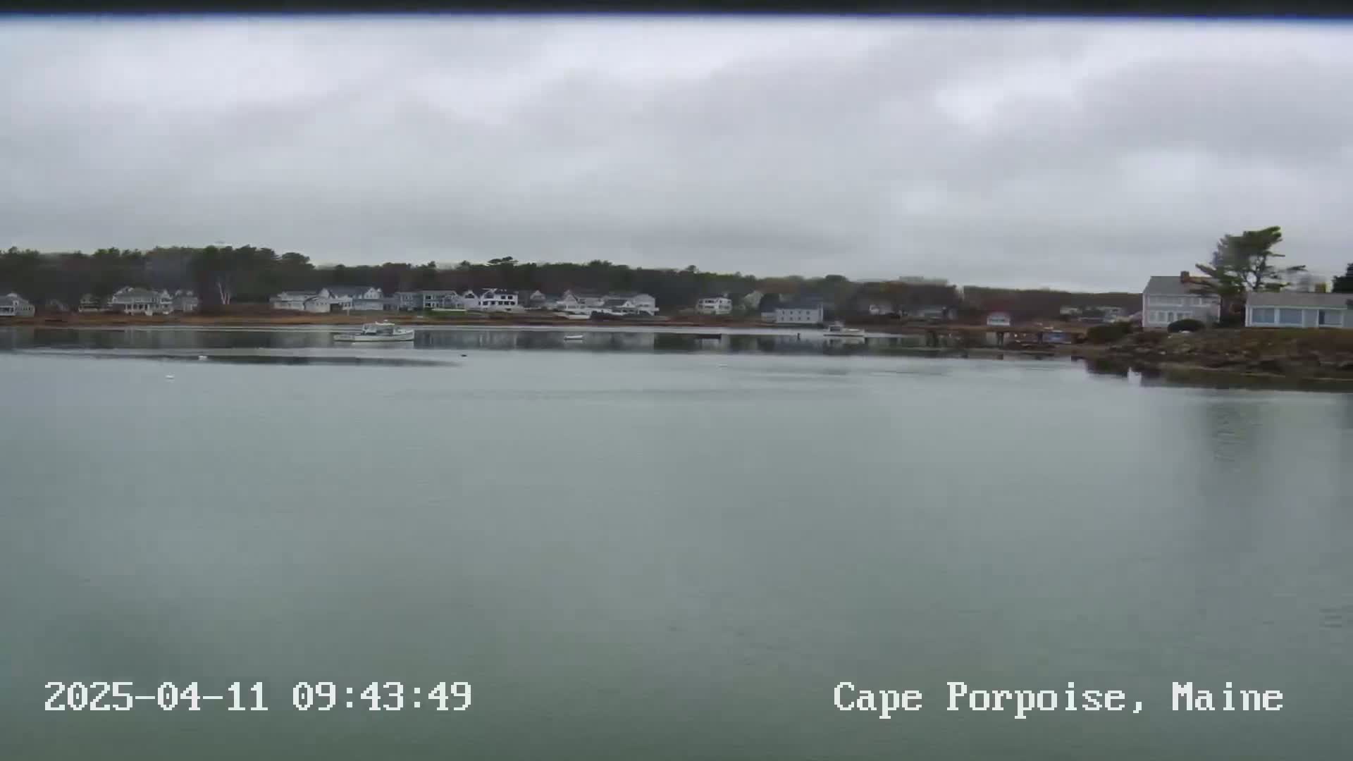 A calm body of water reflects a cloudy sky and a shoreline of houses and trees.