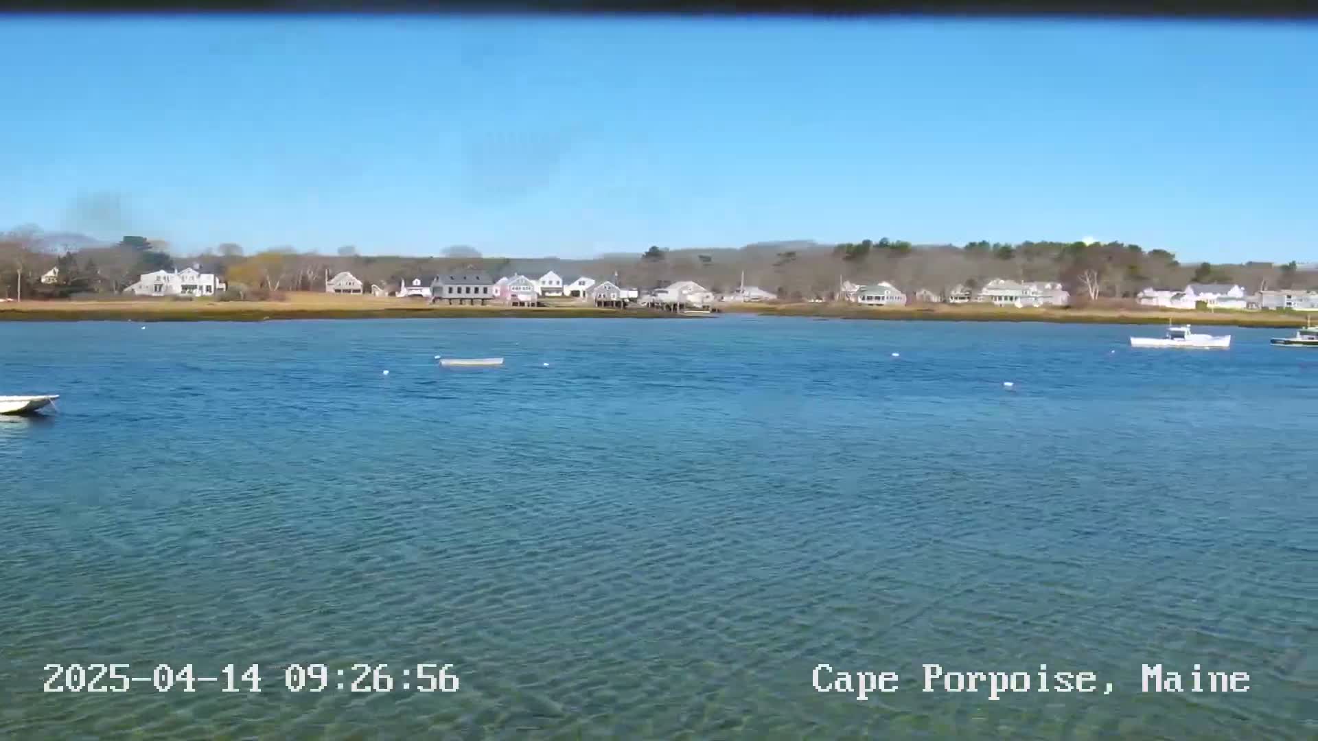 A calm, clear day shows a body of water with several small boats, and a shoreline with houses and trees in the background.