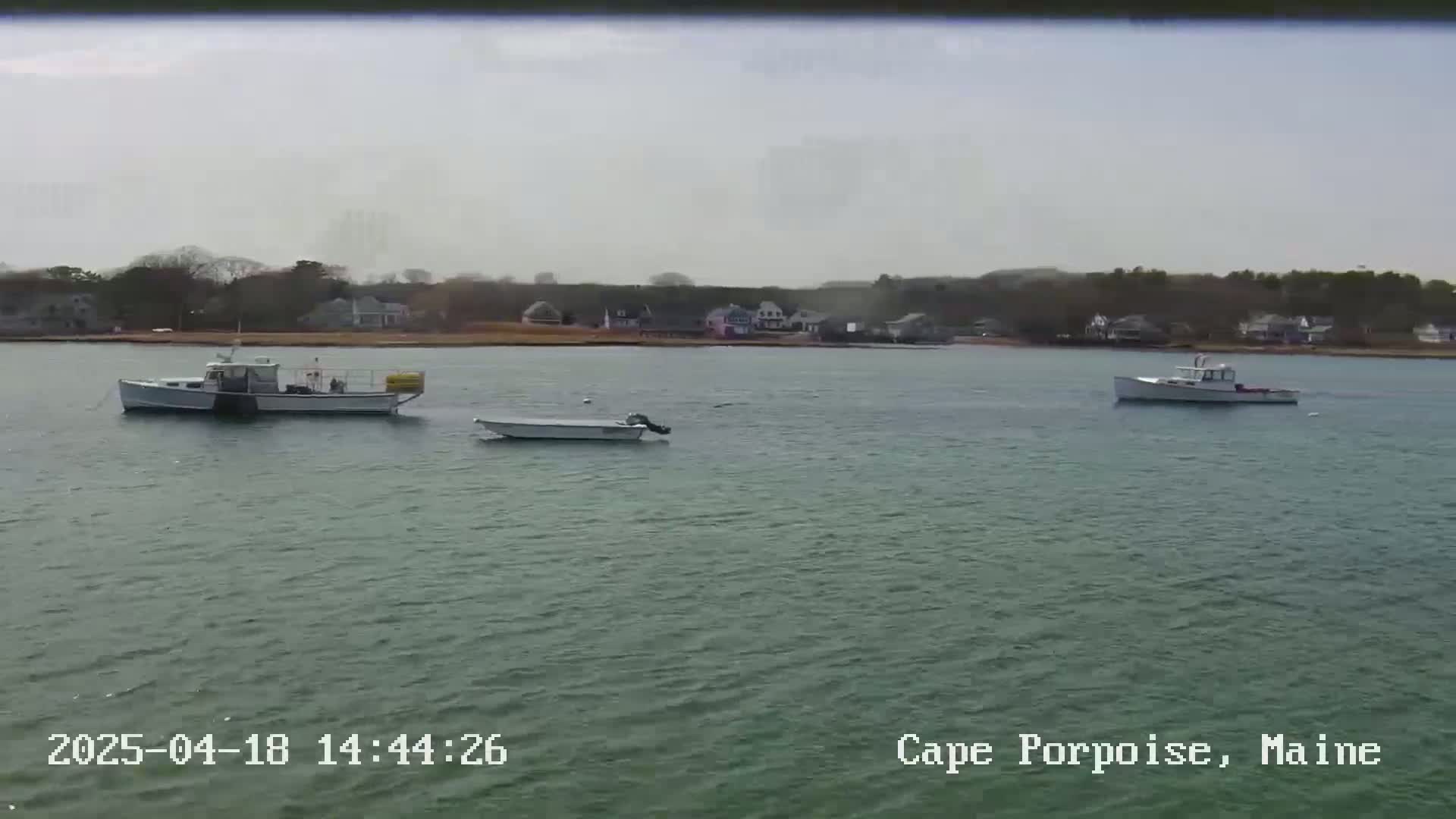 Three boats are on calm, gray-green water in front of a shoreline with houses and trees under a mostly cloudy sky.