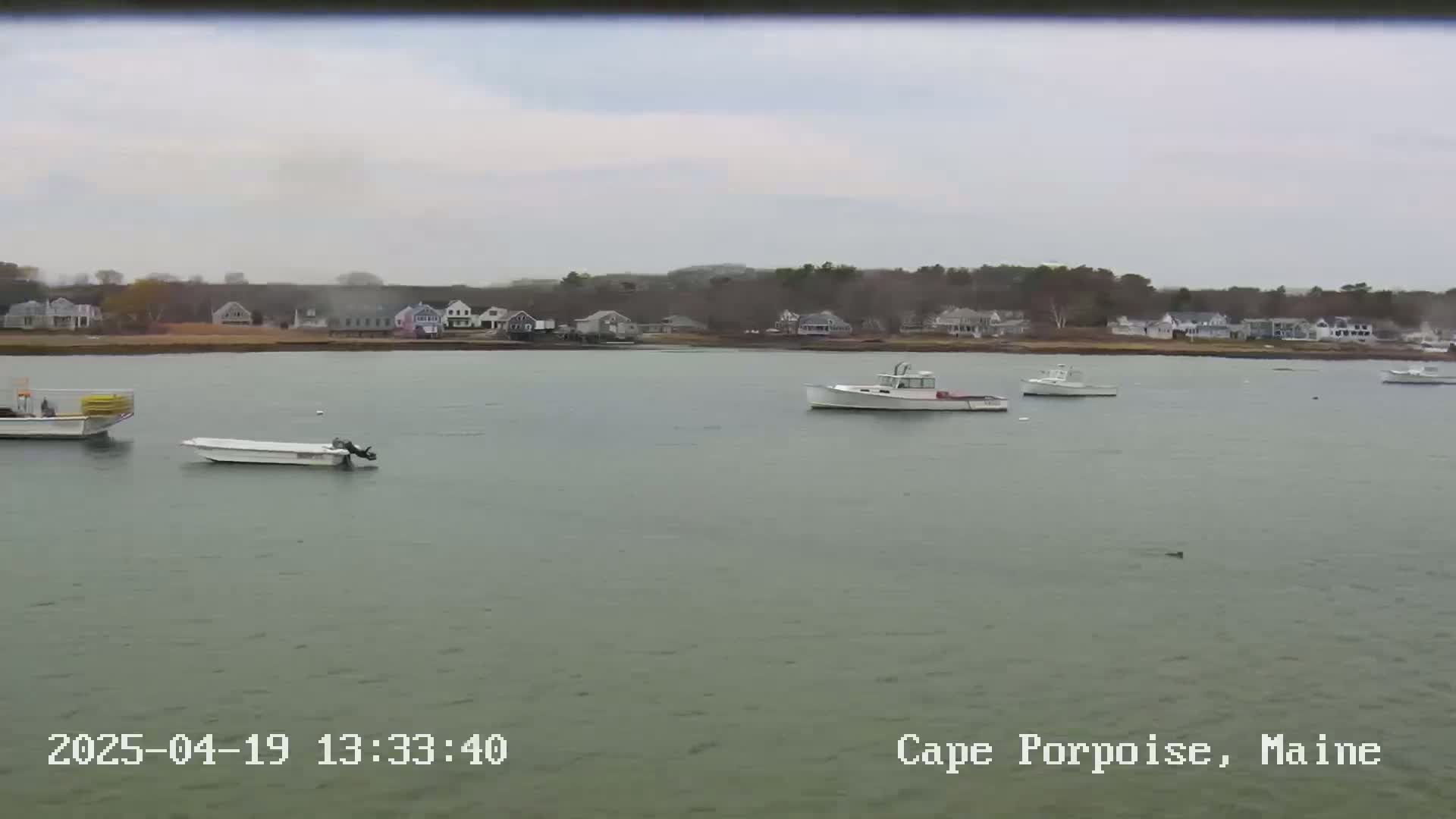 Several small boats are moored in calm, gray water in front of a shoreline of houses and trees under an overcast sky.