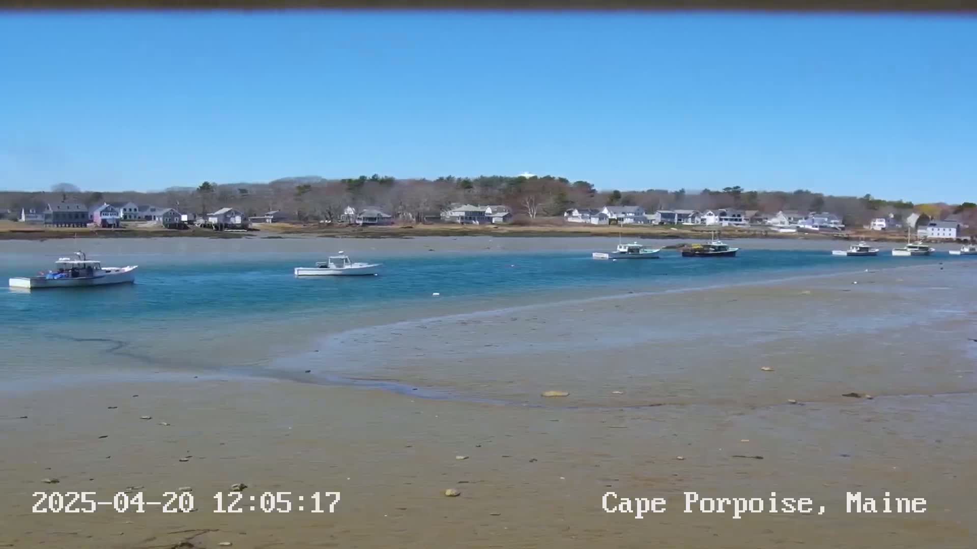 Several small boats are moored in calm, blue water near a shoreline with exposed sand and a background of houses and trees under a clear blue sky.