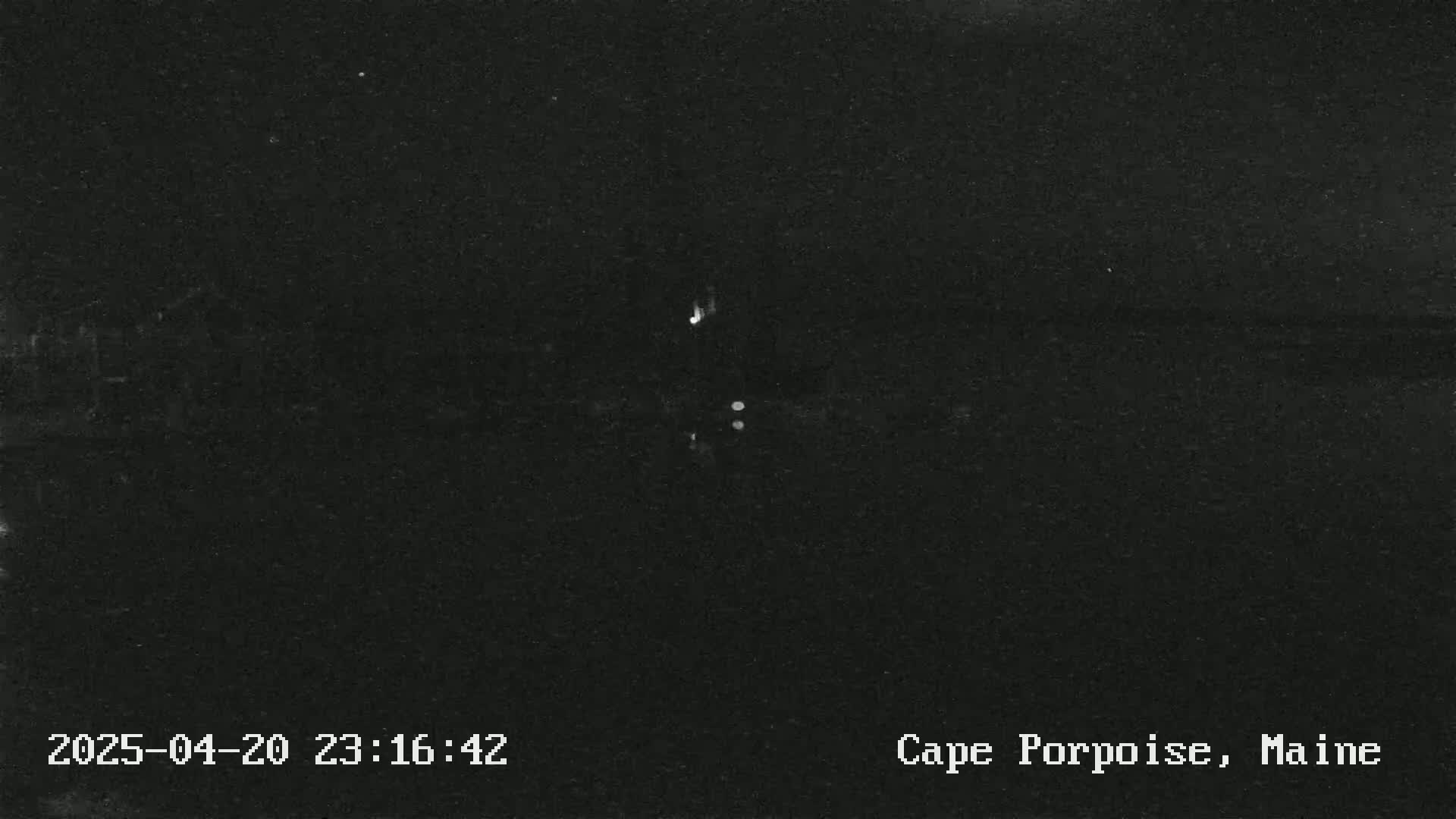 A nighttime, low-light image shows a dark body of water with a few faint lights visible in the distance.