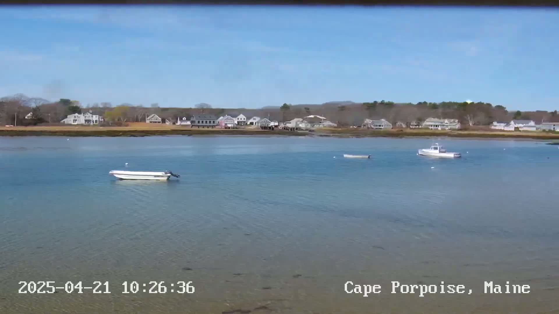 Several small boats are in calm, clear water in front of a shoreline with houses and trees under a bright, sunny sky.