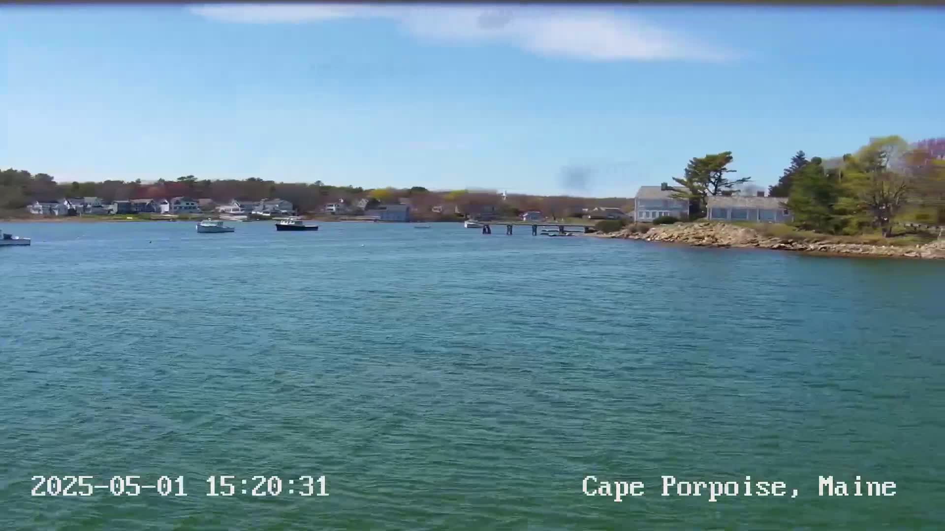 A calm, sunny day reveals a body of water with several small boats and houses along the shoreline.